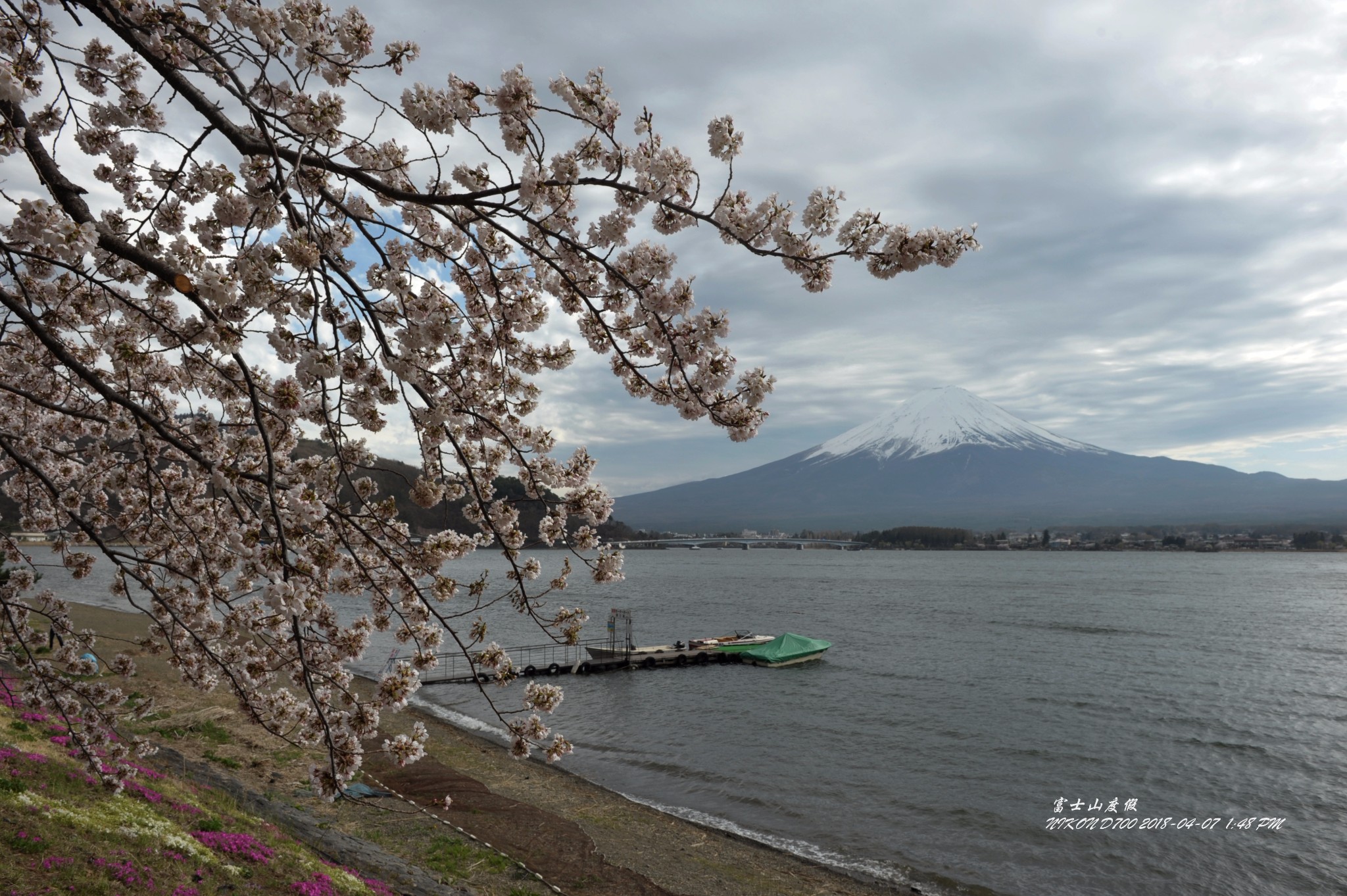 富士山自助遊攻略