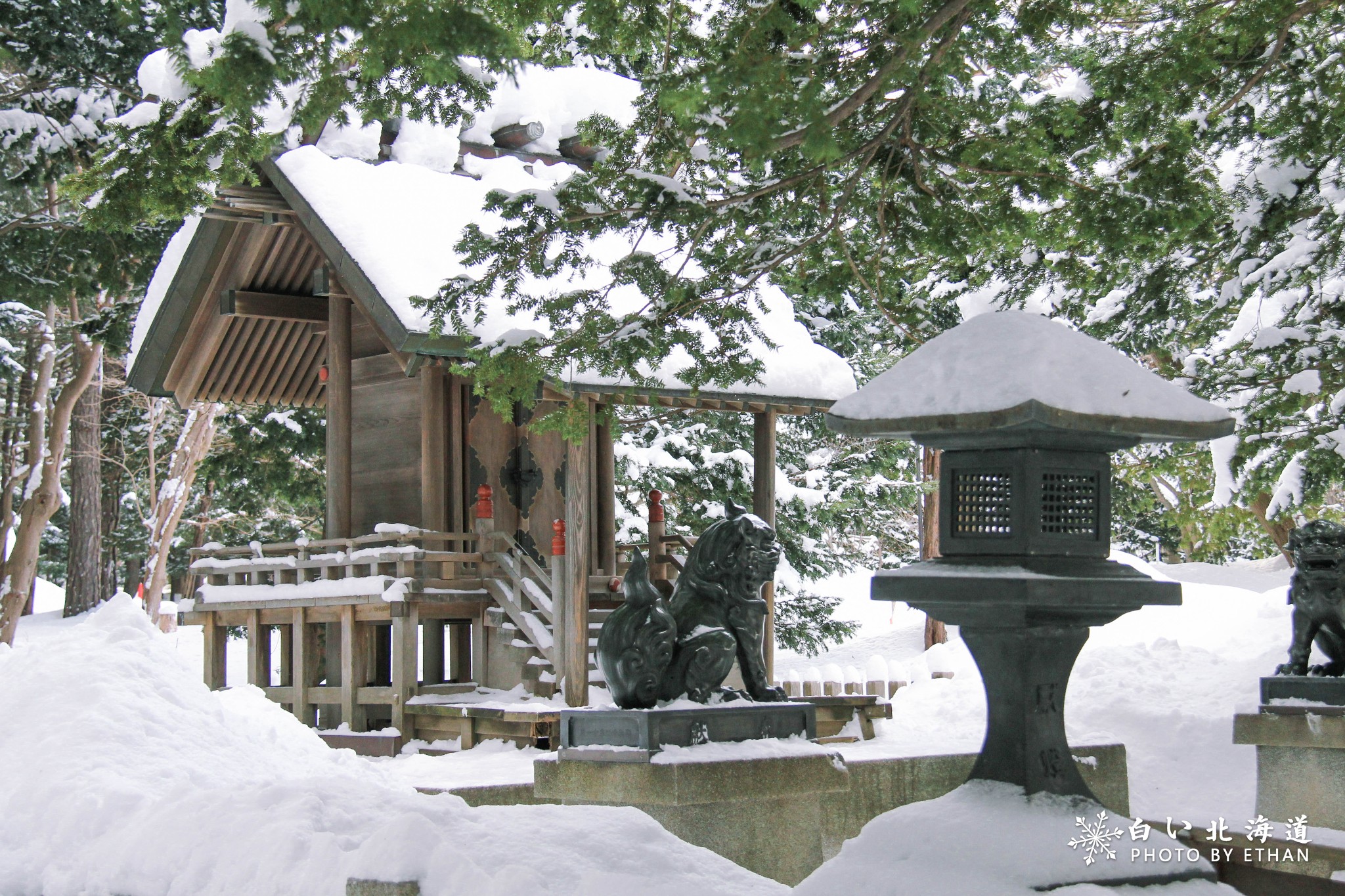 北海道自助遊攻略