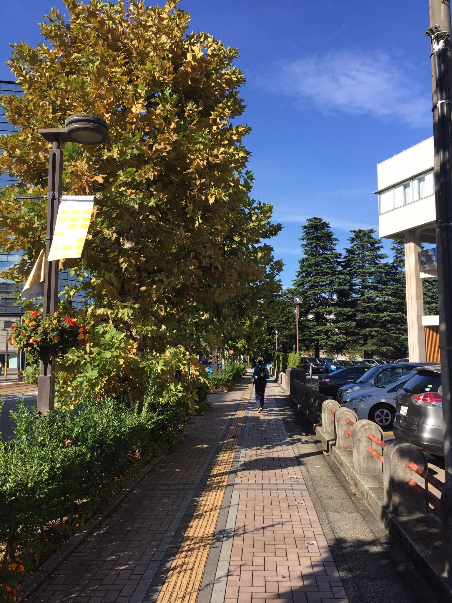 名古屋自助遊攻略