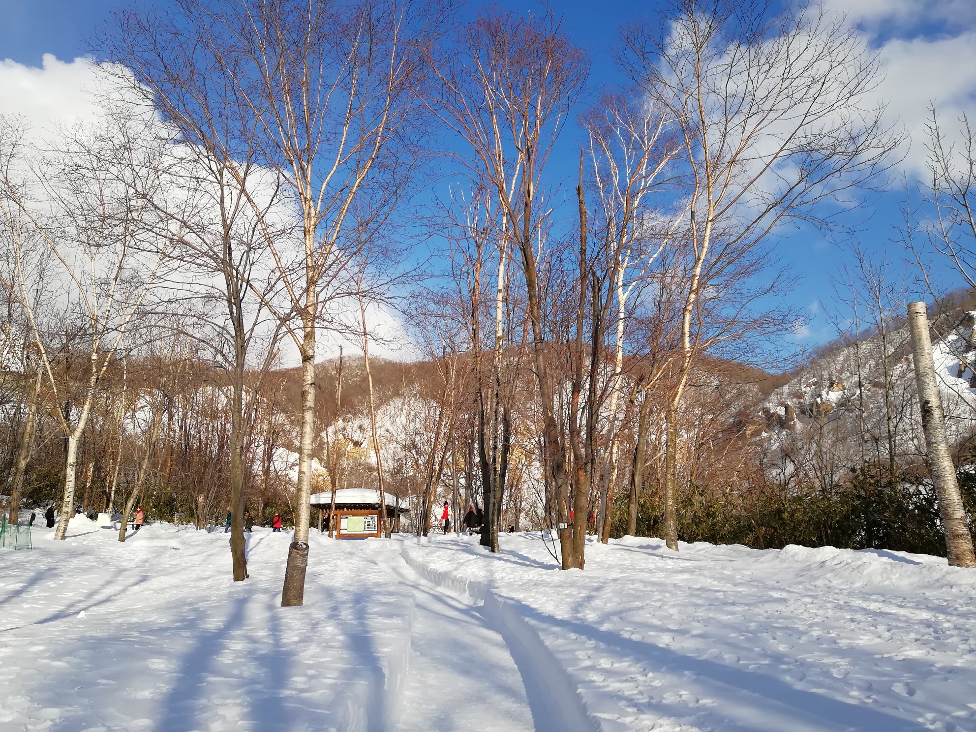 北海道自助遊攻略