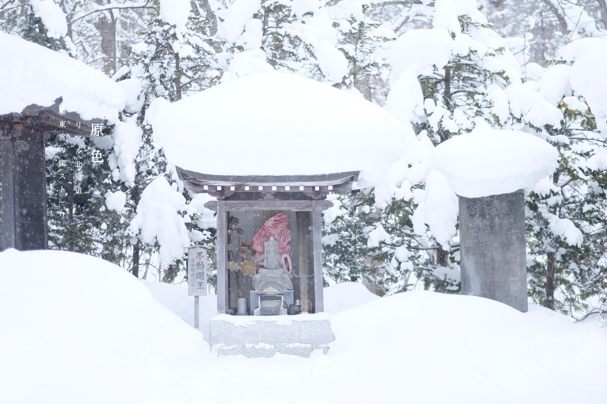 北海道自助遊攻略