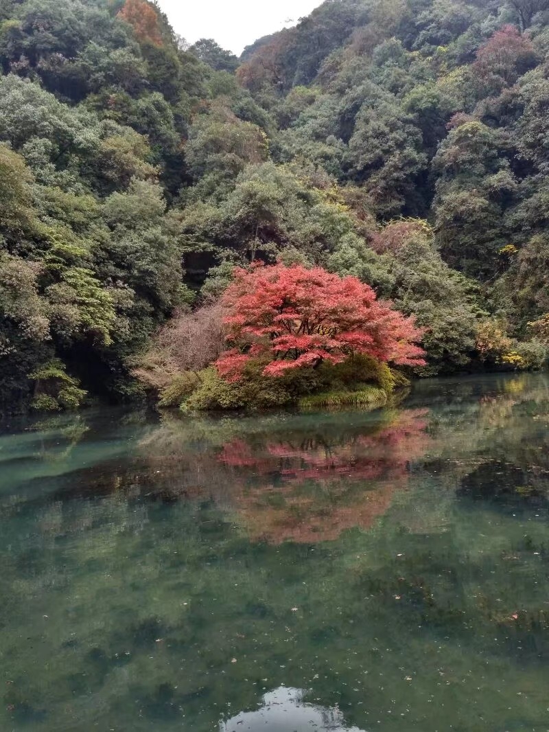 烏鎮自助遊攻略