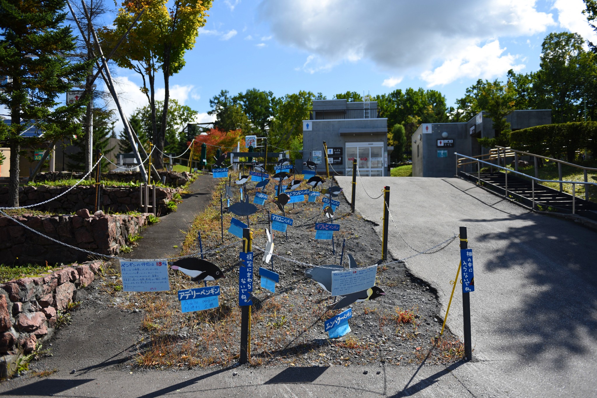 北海道自助遊攻略