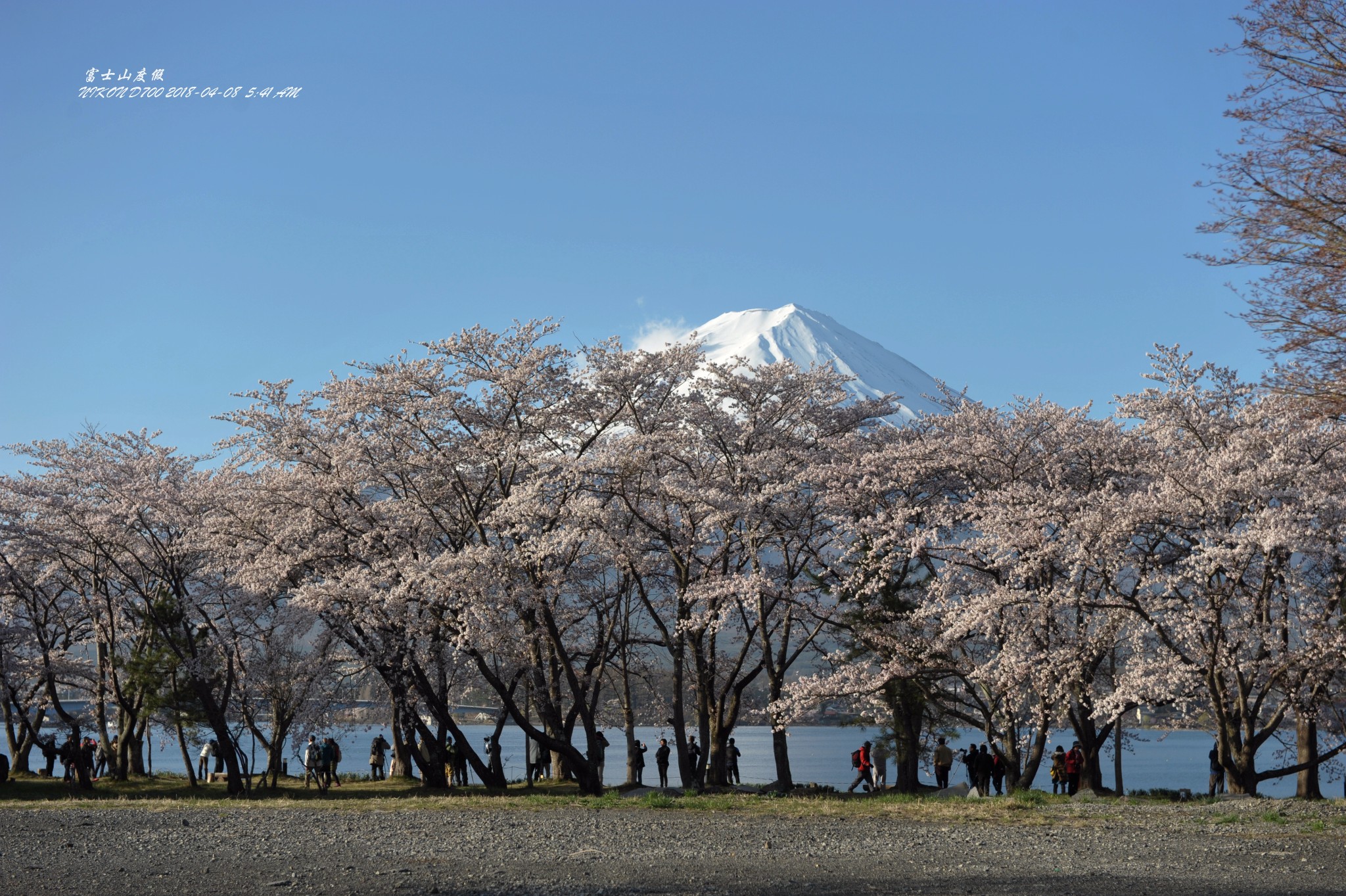 富士山自助遊攻略