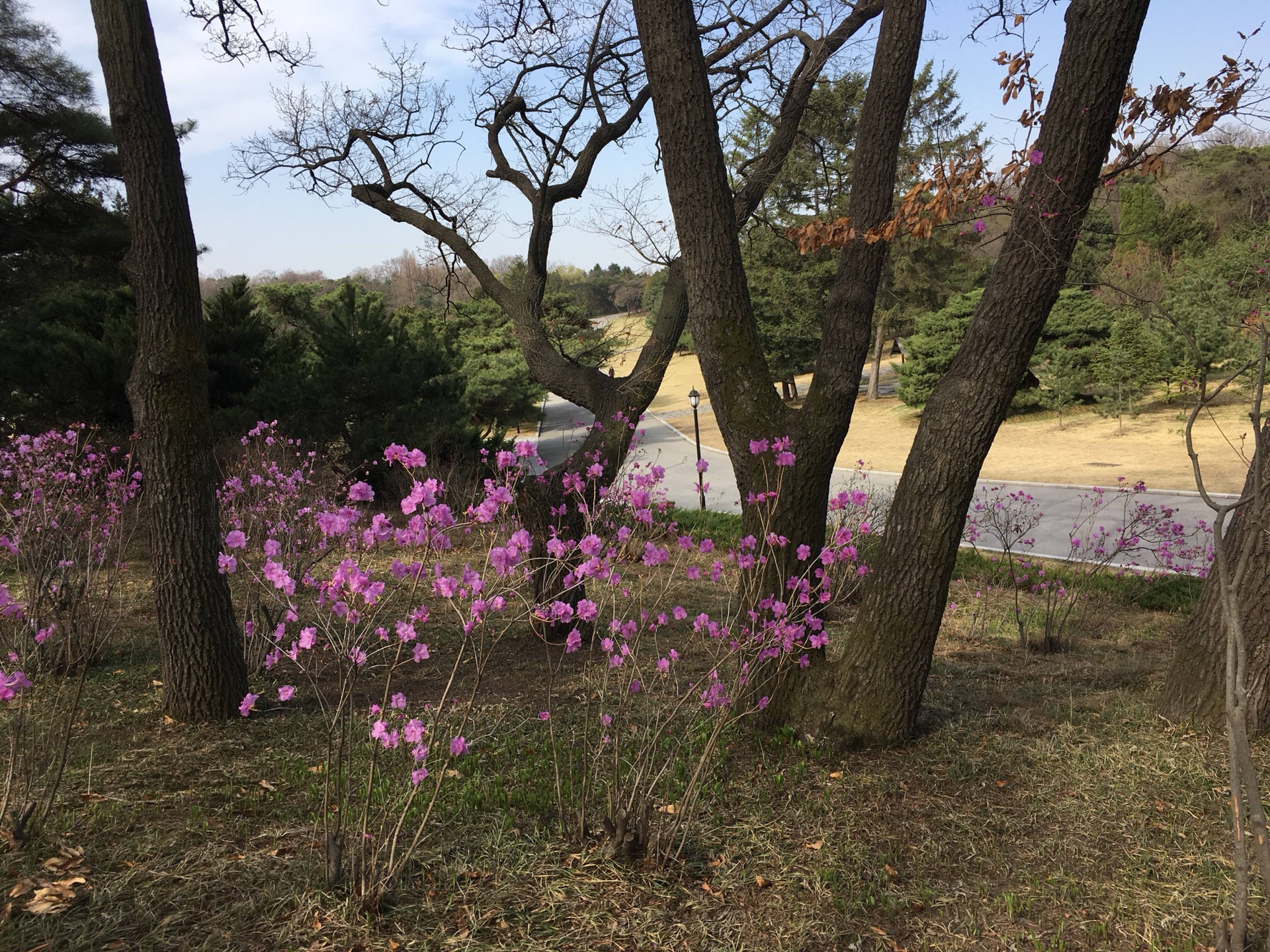 朝鮮半島自助遊攻略