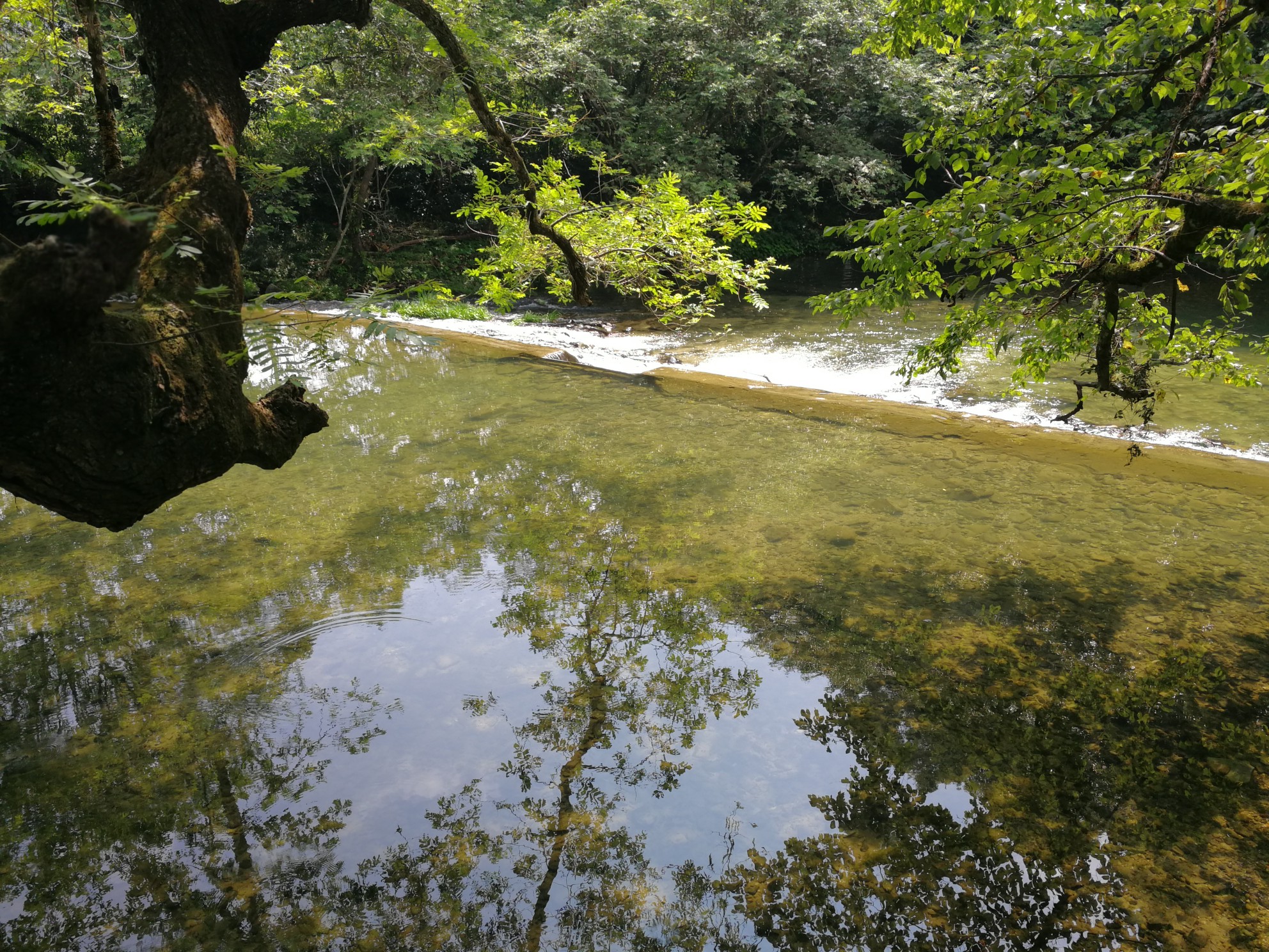 景德鎮自助遊攻略