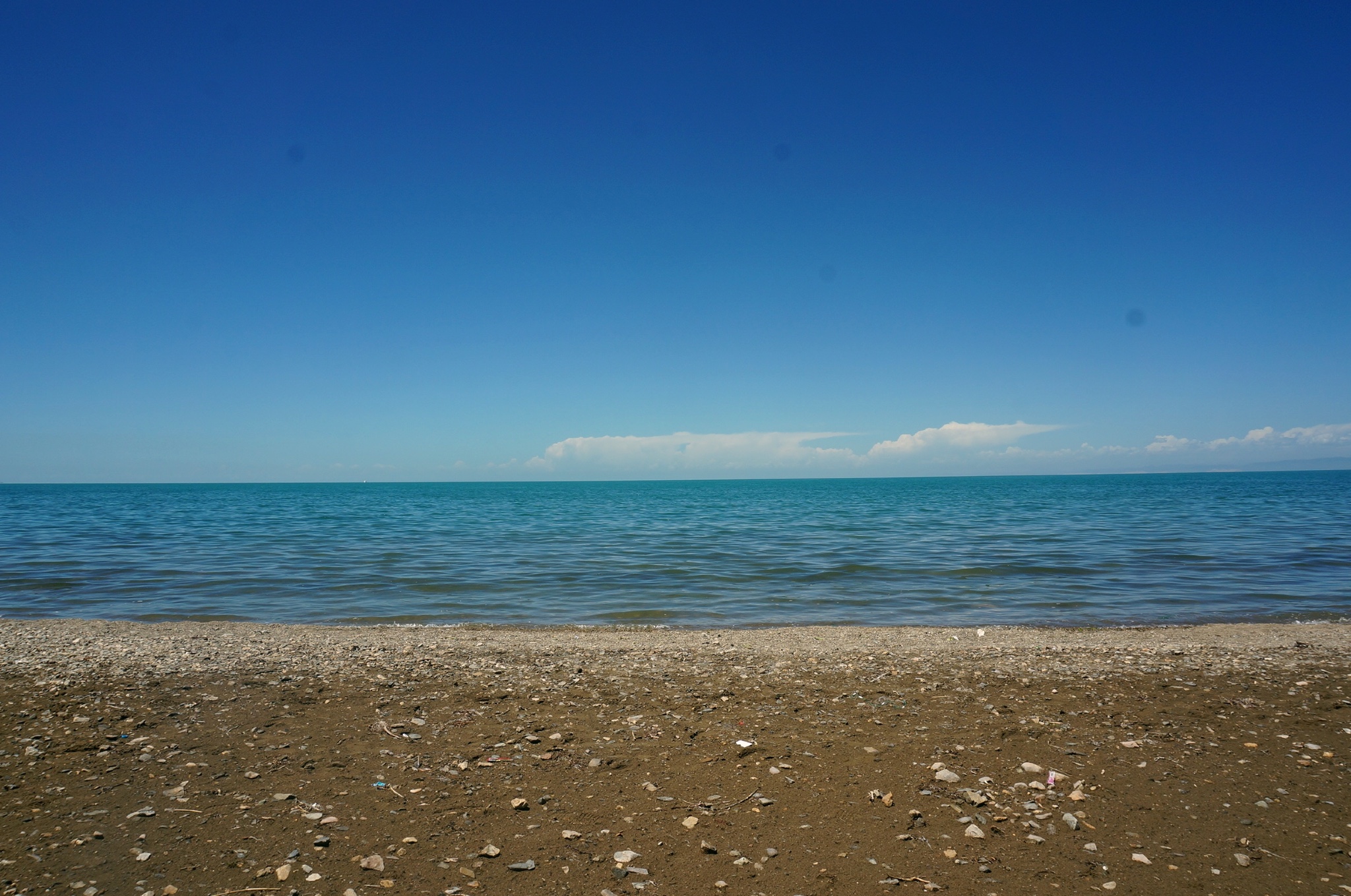 青海湖自助遊攻略