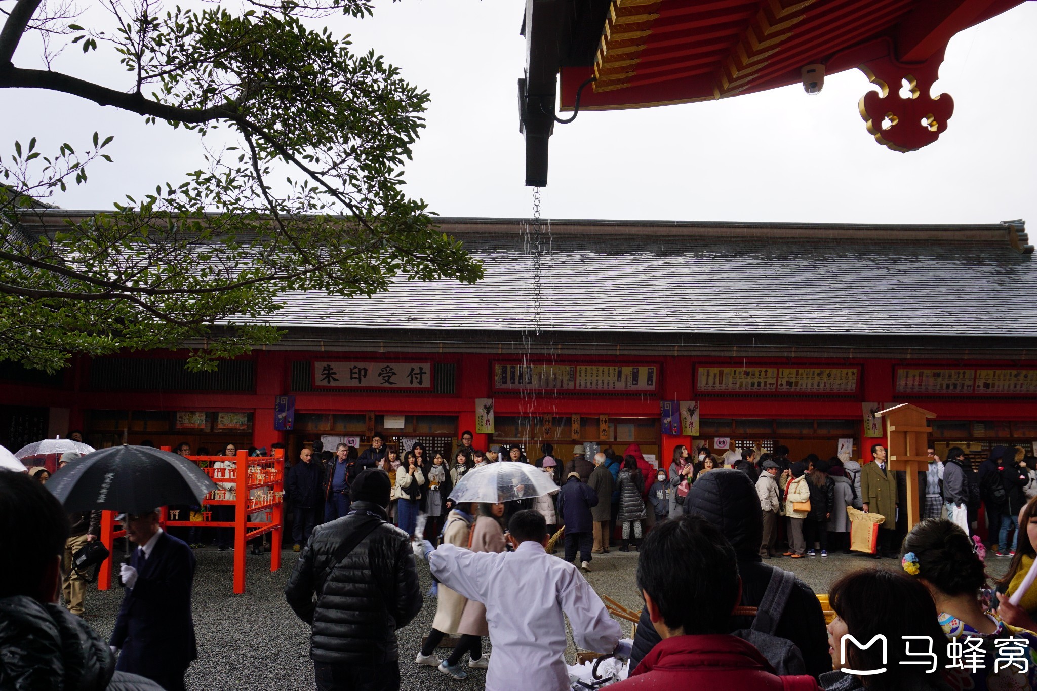 京都自助遊攻略