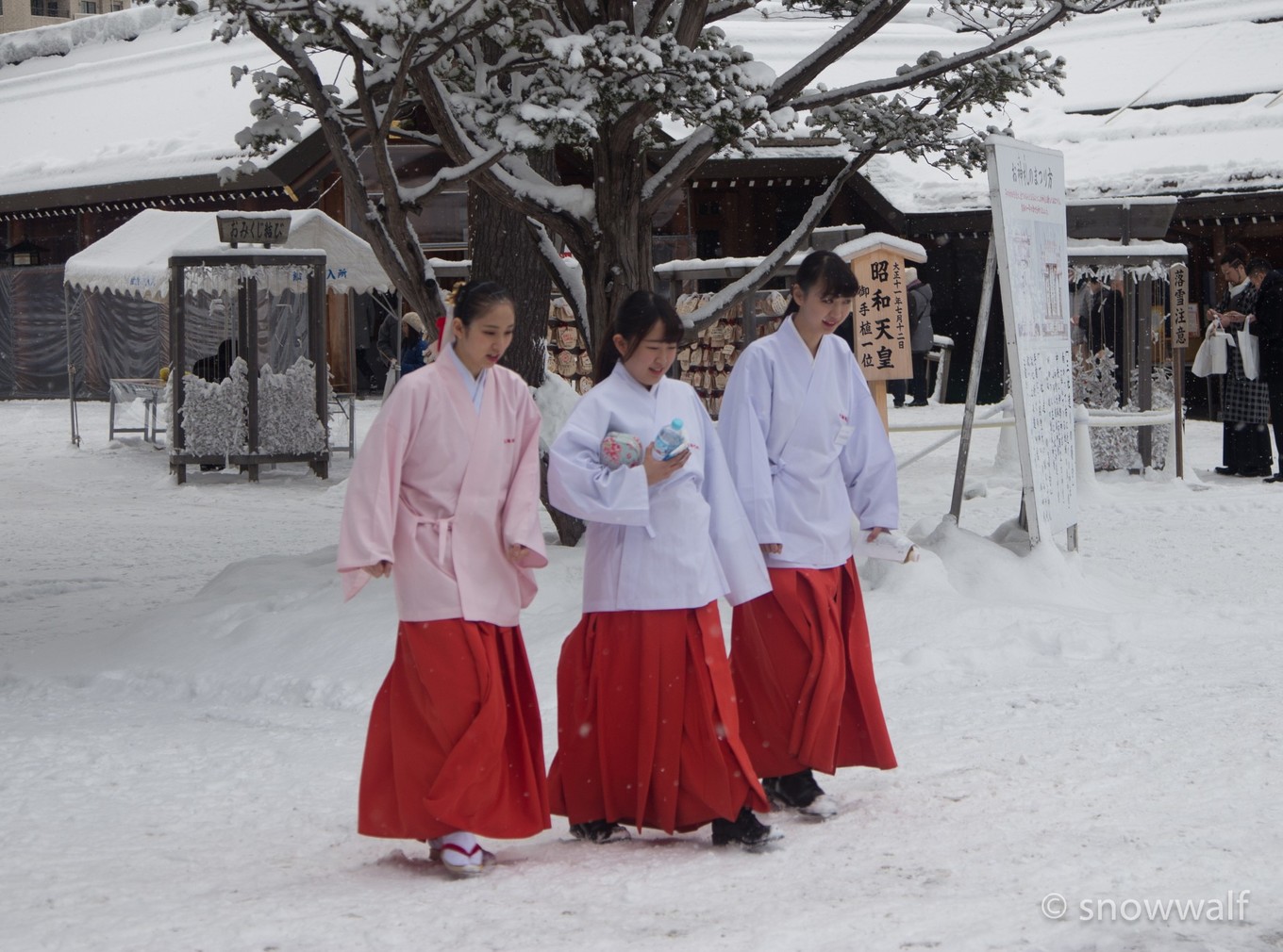 北海道自助遊攻略