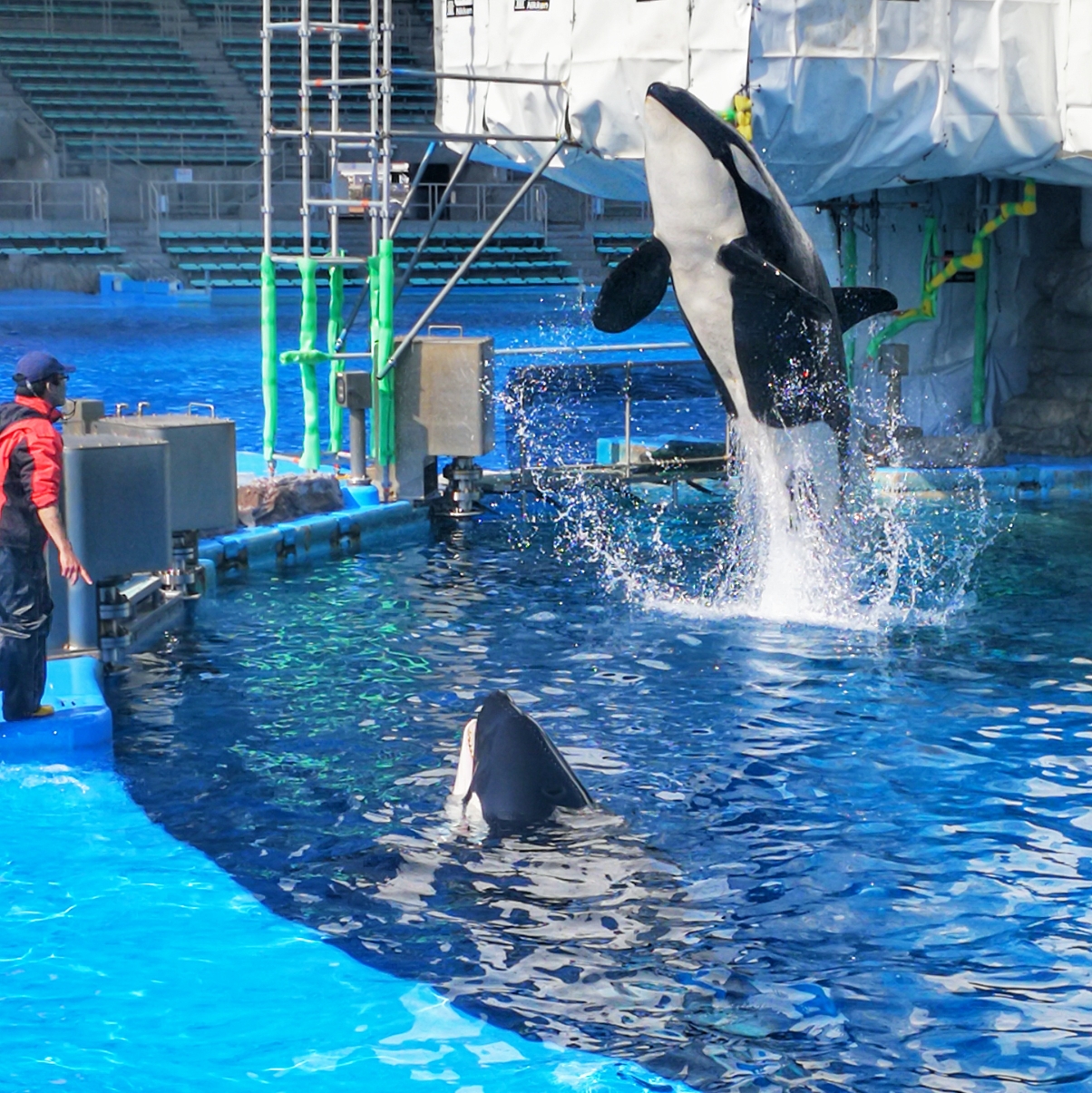 名古屋港水族館門票 四館通用門票可選(名古屋機場自取/無需打印)