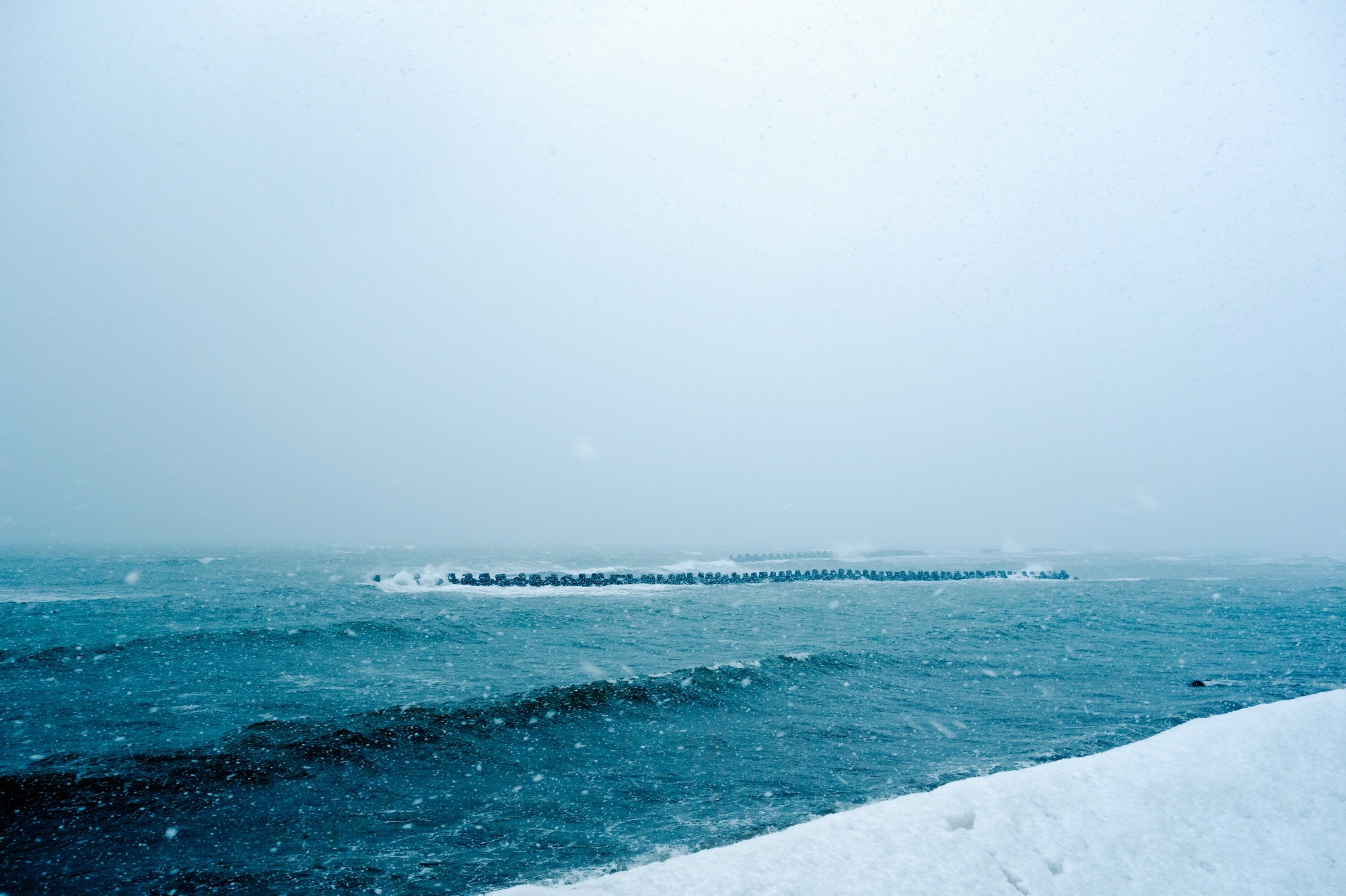 北海道自助遊攻略