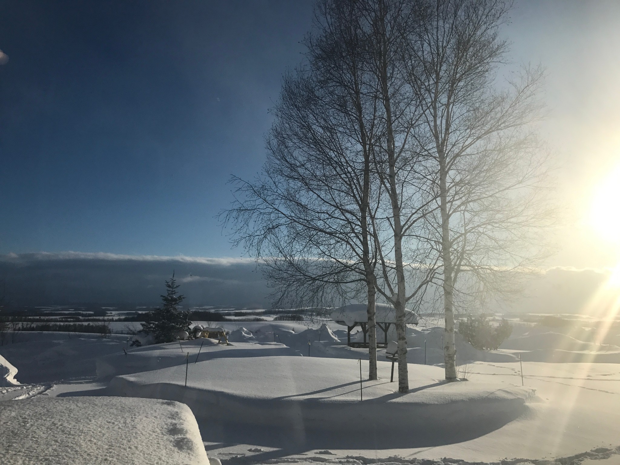 北海道自助遊攻略