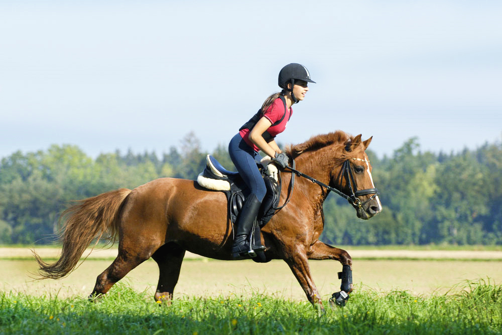 私家定制团 / 呼伦贝尔休闲骑马6日洒脱之旅(蒙古服饰照 边境线畅游
