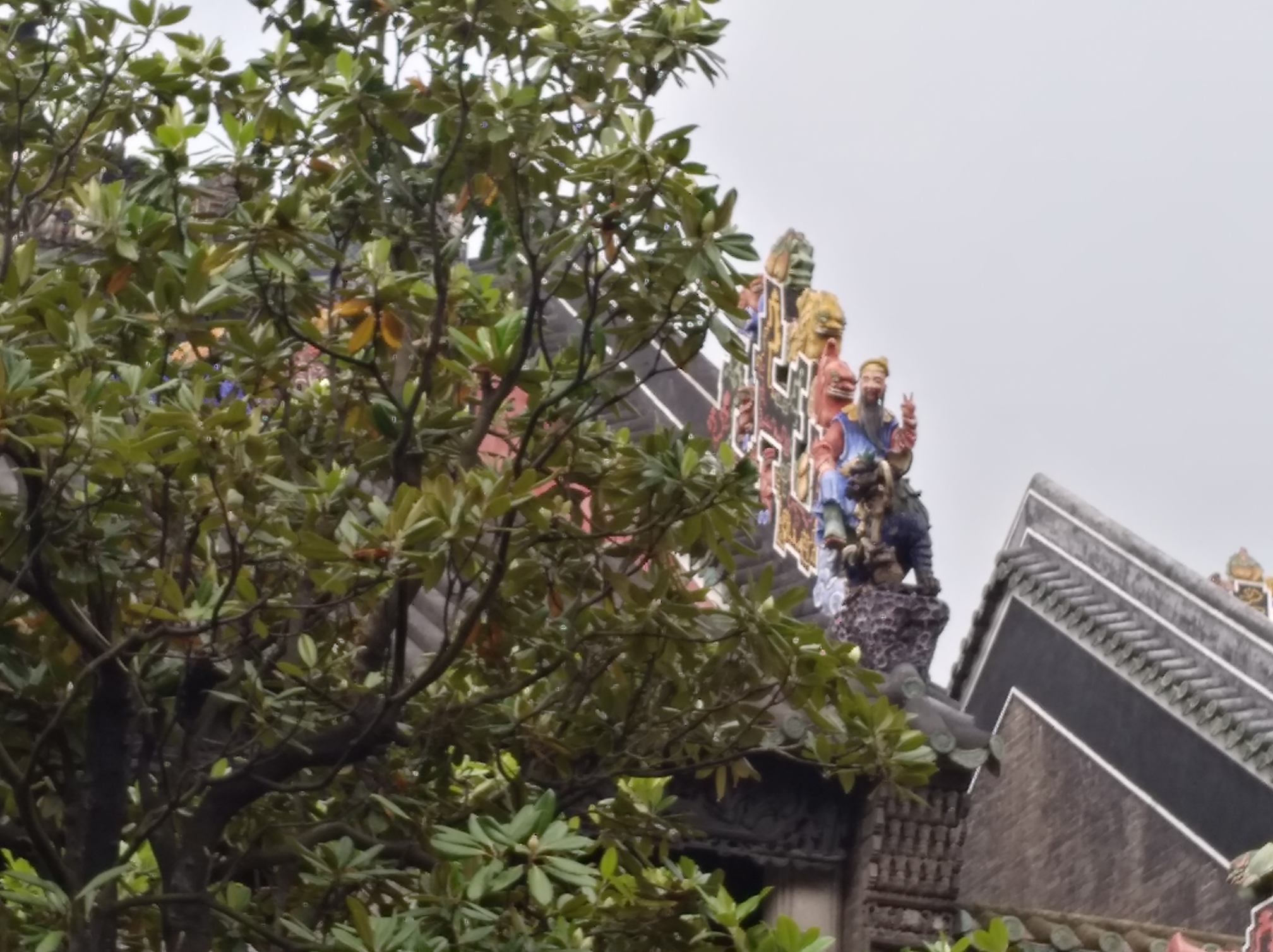 广东陈姓人口数量_广东人口图片(3)