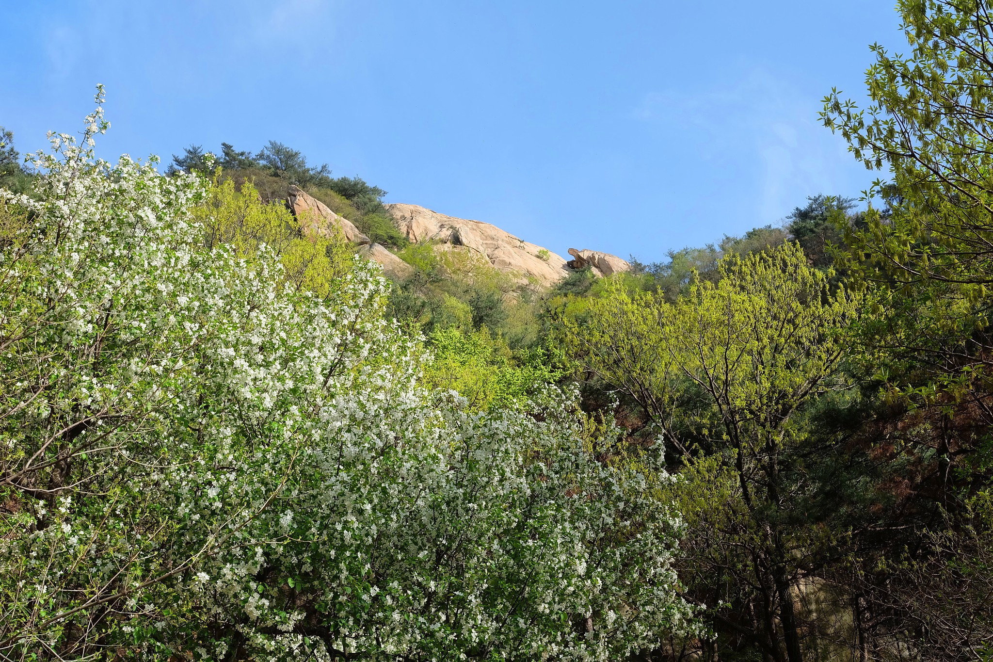 回复游记:徒步蒙山主峰龟蒙顶(平邑蒙山)
