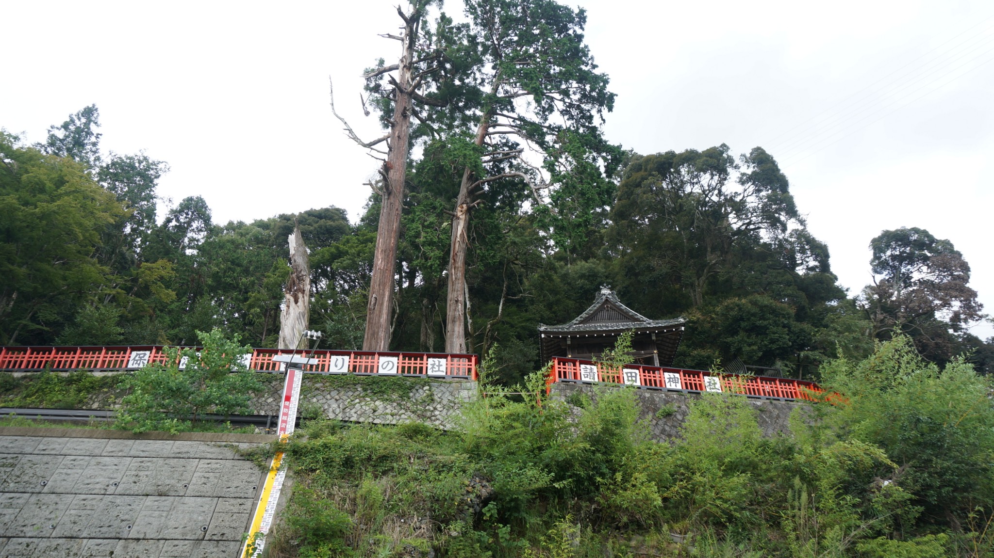 京都自助遊攻略