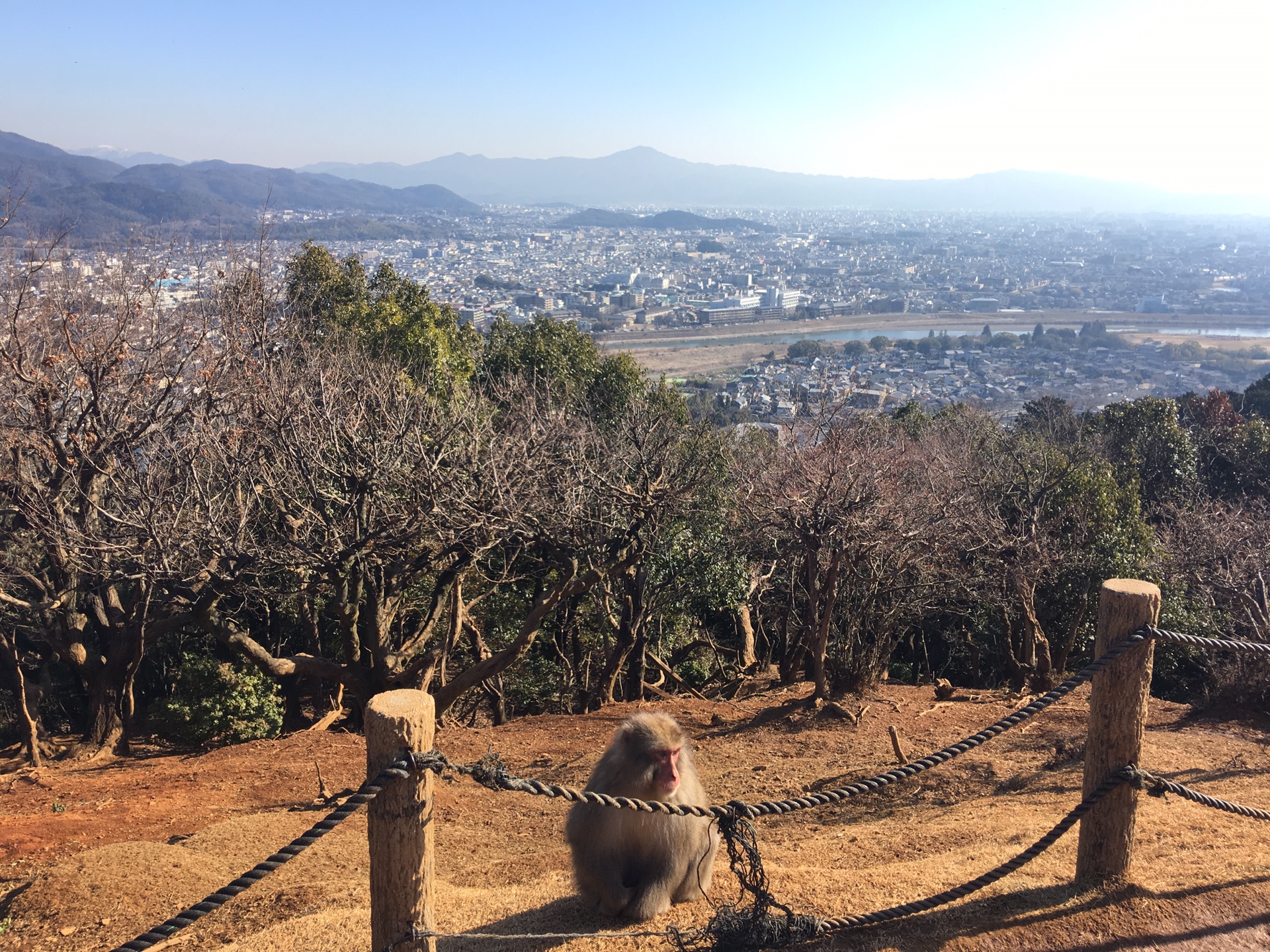 名古屋自助遊攻略