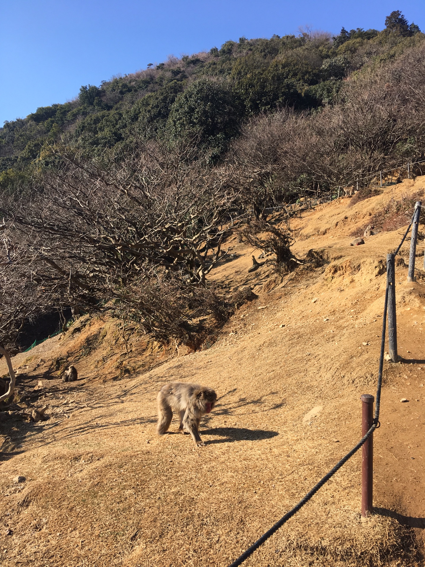 名古屋自助遊攻略