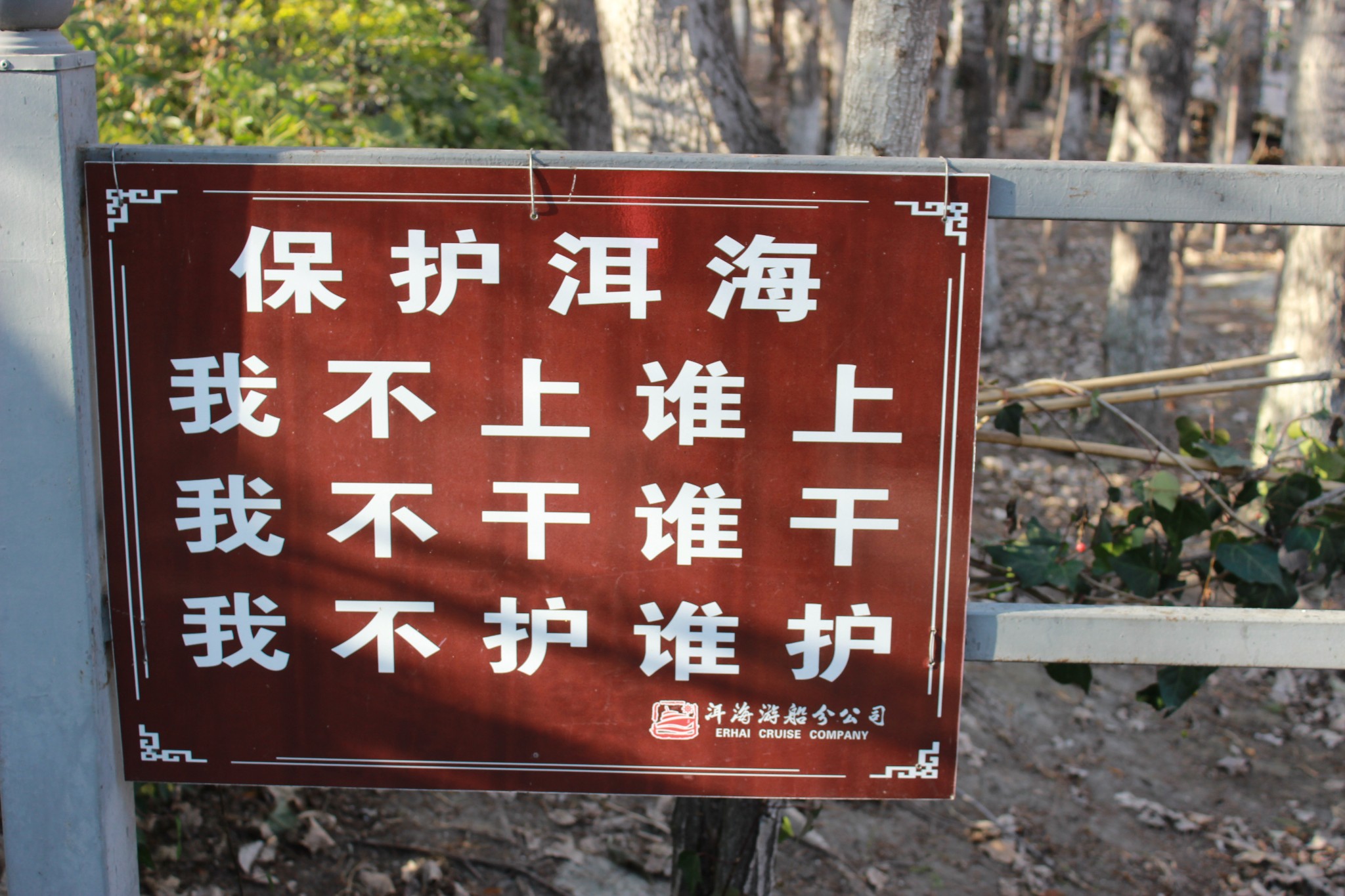 用sql语句把文件导入access,如何设置字段类型