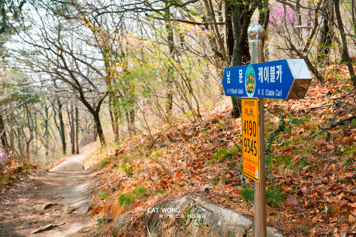 釜山自助遊攻略