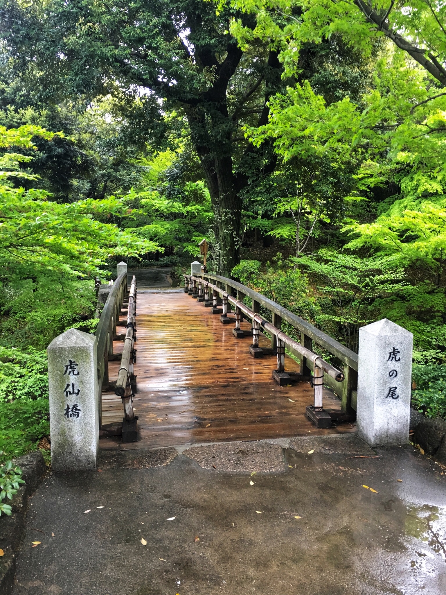 名古屋自助遊攻略