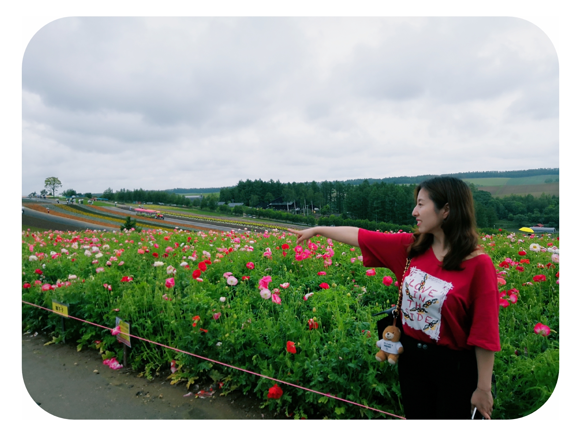 北海道自助遊攻略