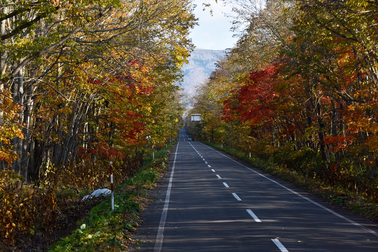 北海道自助遊攻略