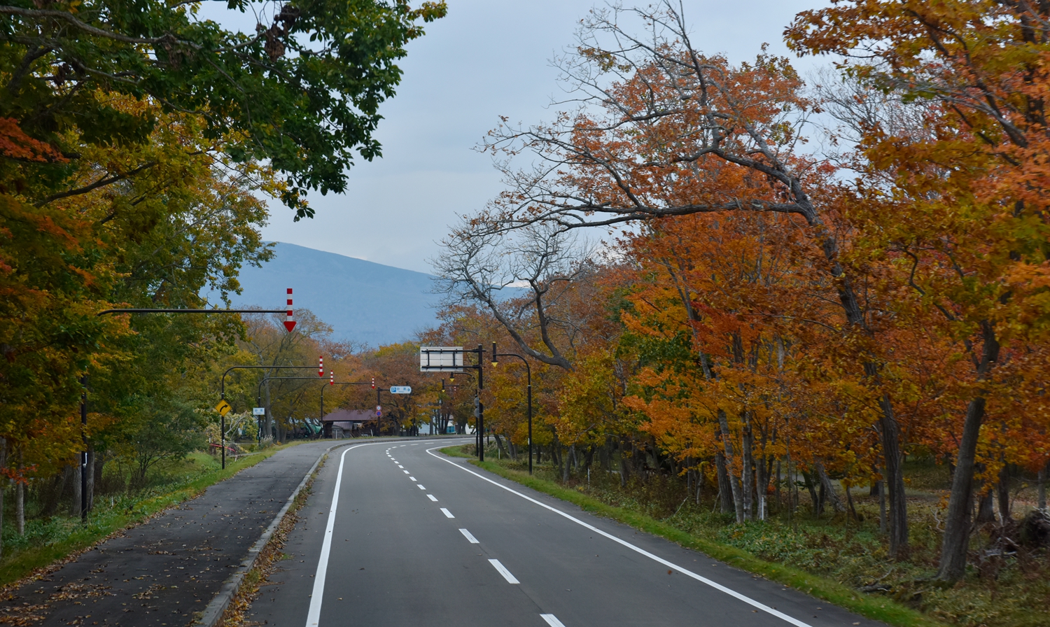 北海道自助遊攻略