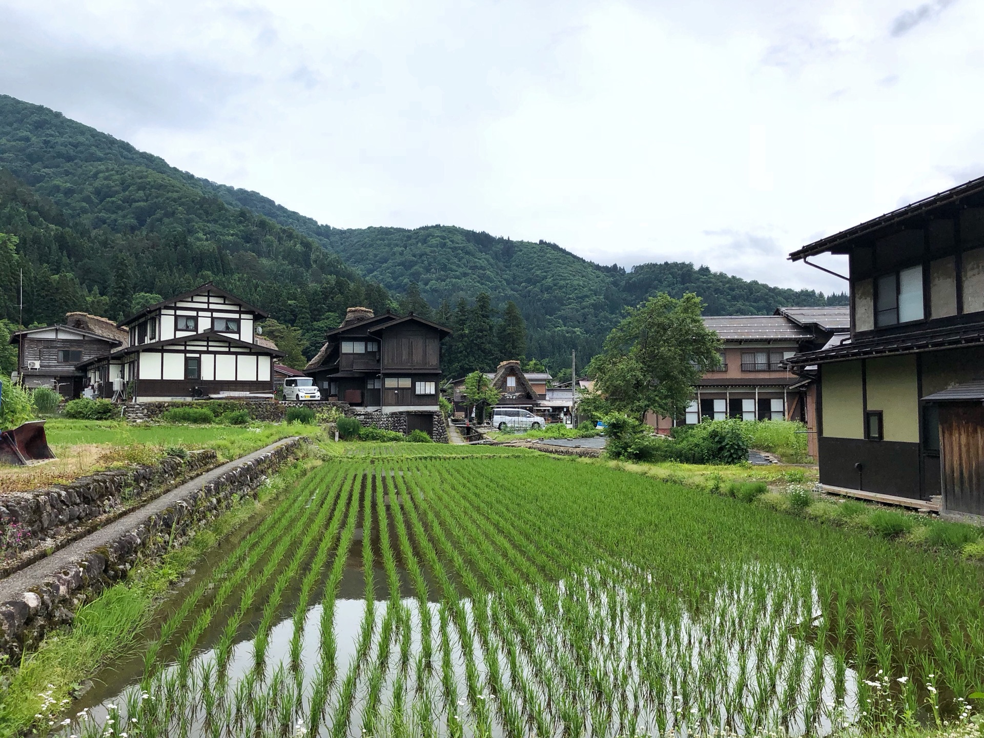 名古屋自助遊攻略