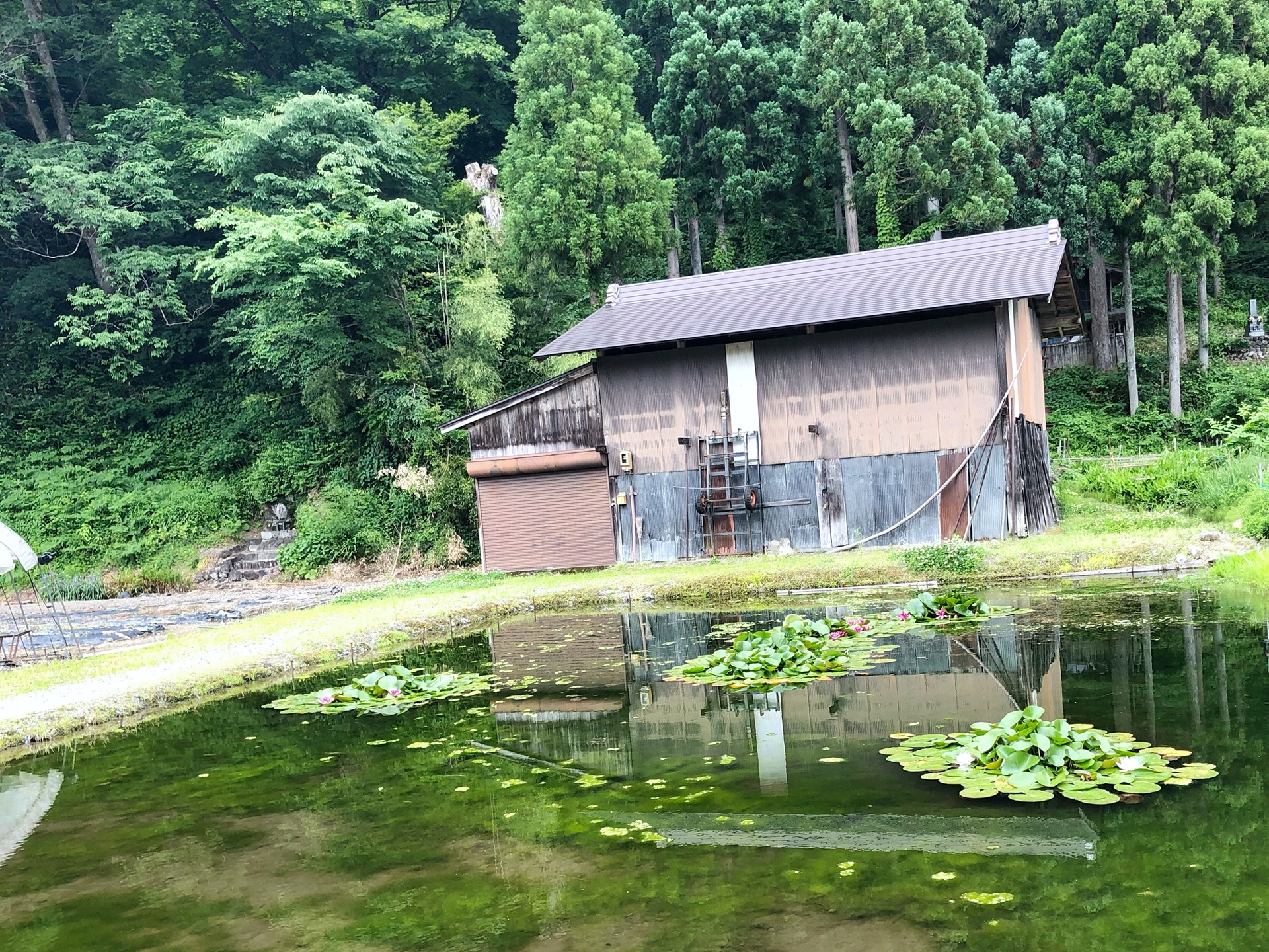 名古屋自助遊攻略