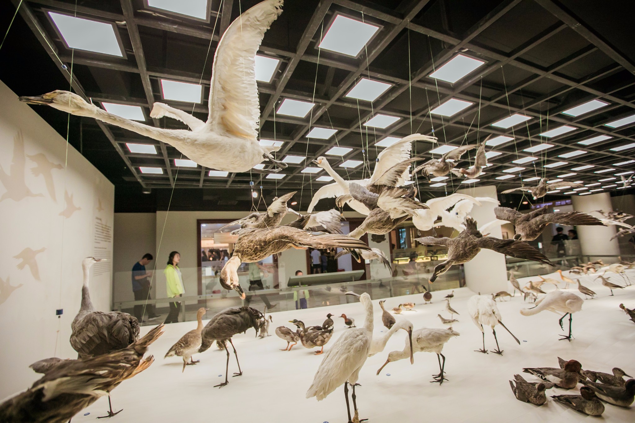 Shanghai Natural History Museum