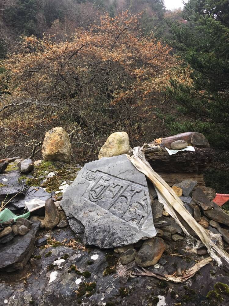 雨崩自助遊攻略