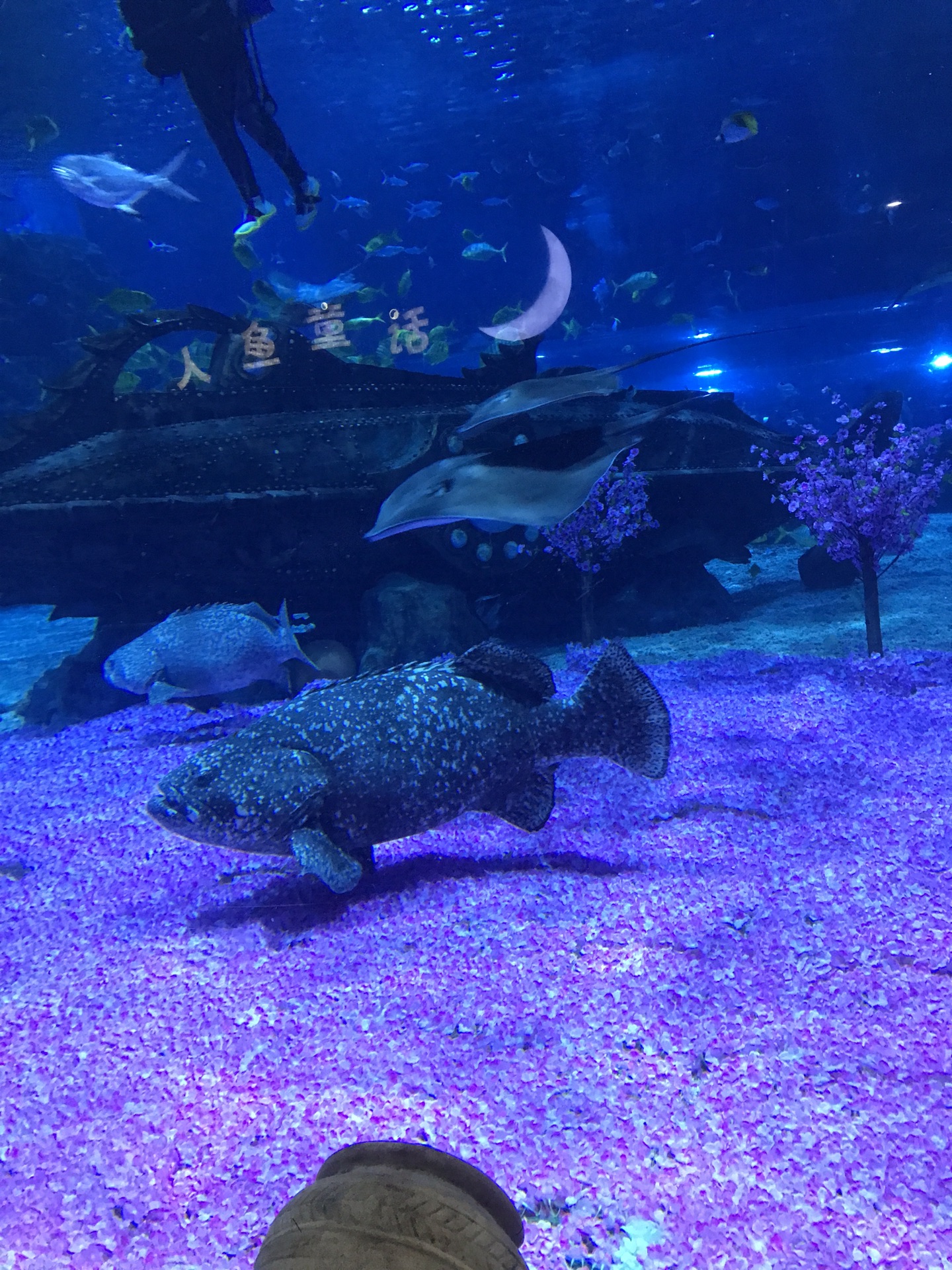 清明踏青——1岁宝宝出游塘沽-天津商协互联