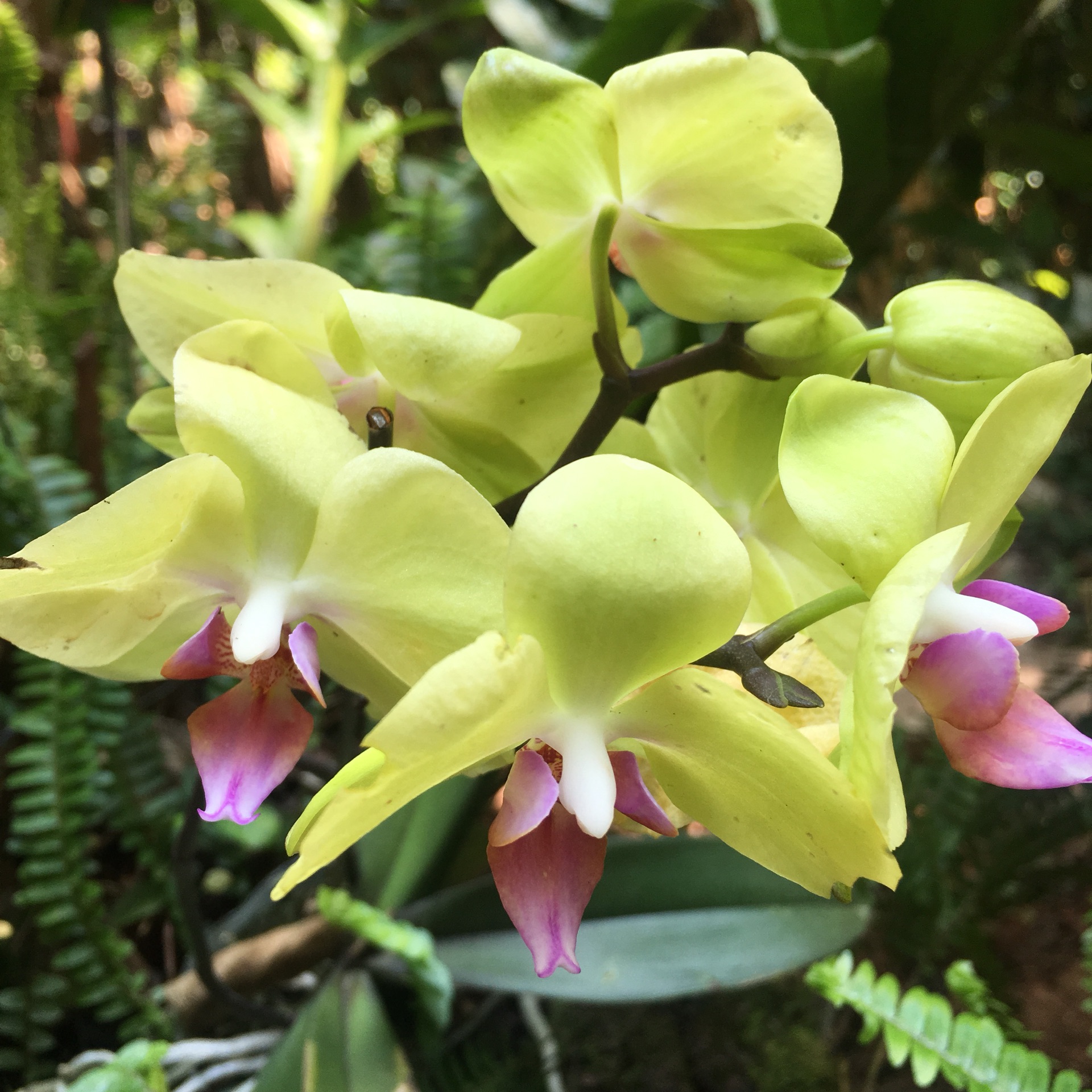 太阳两个人猜成语_两个人猜成语图片大全(3)