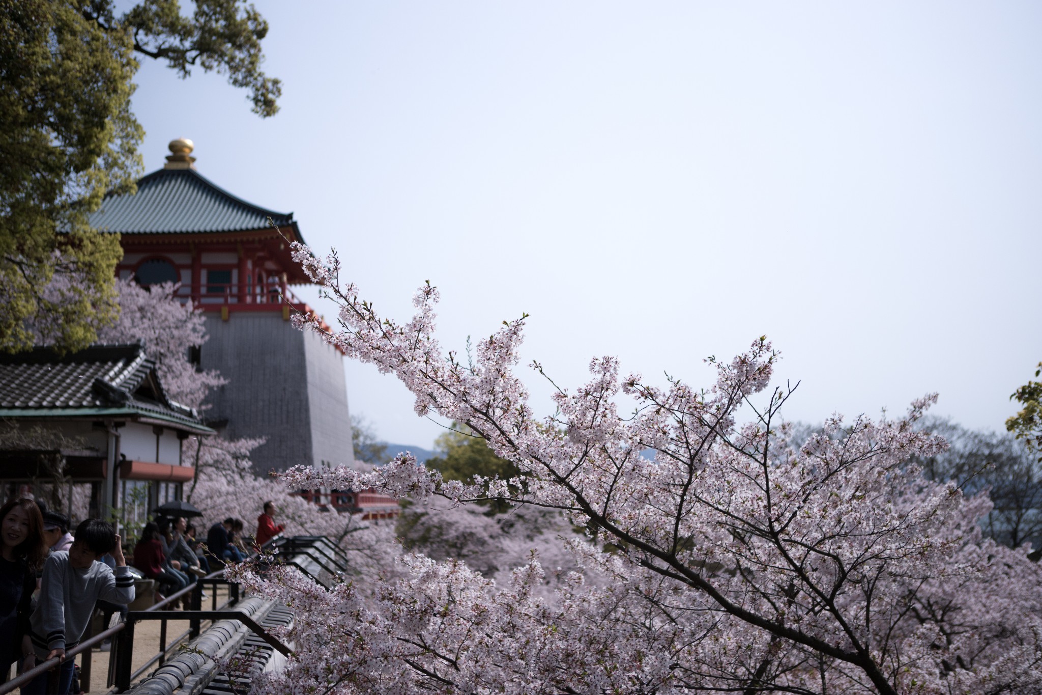 和歌山市自助遊攻略