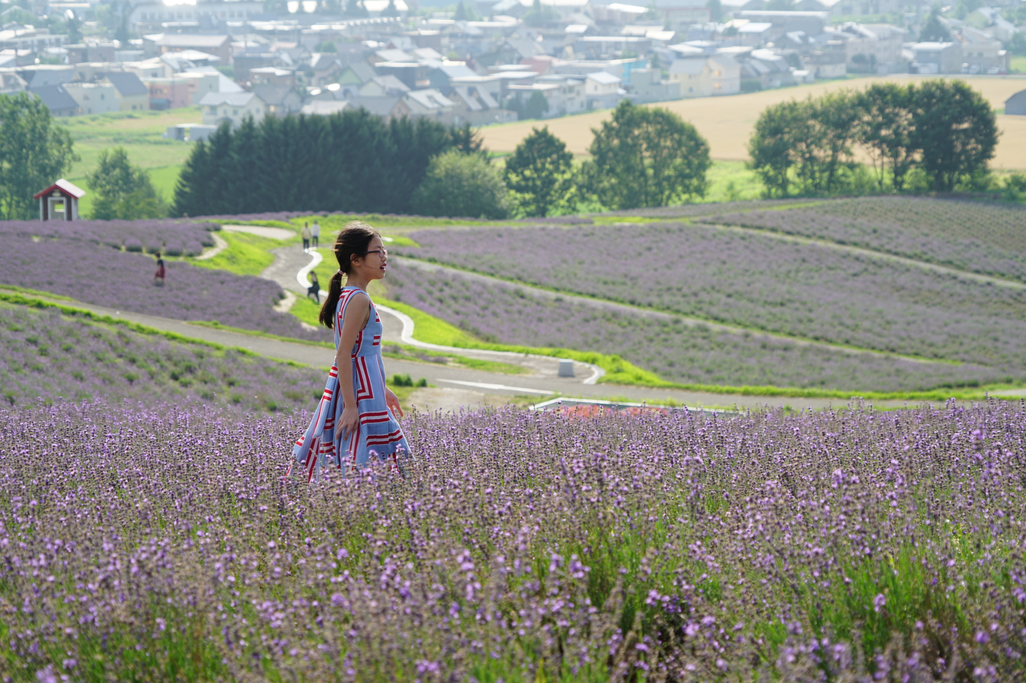 北海道自助遊攻略