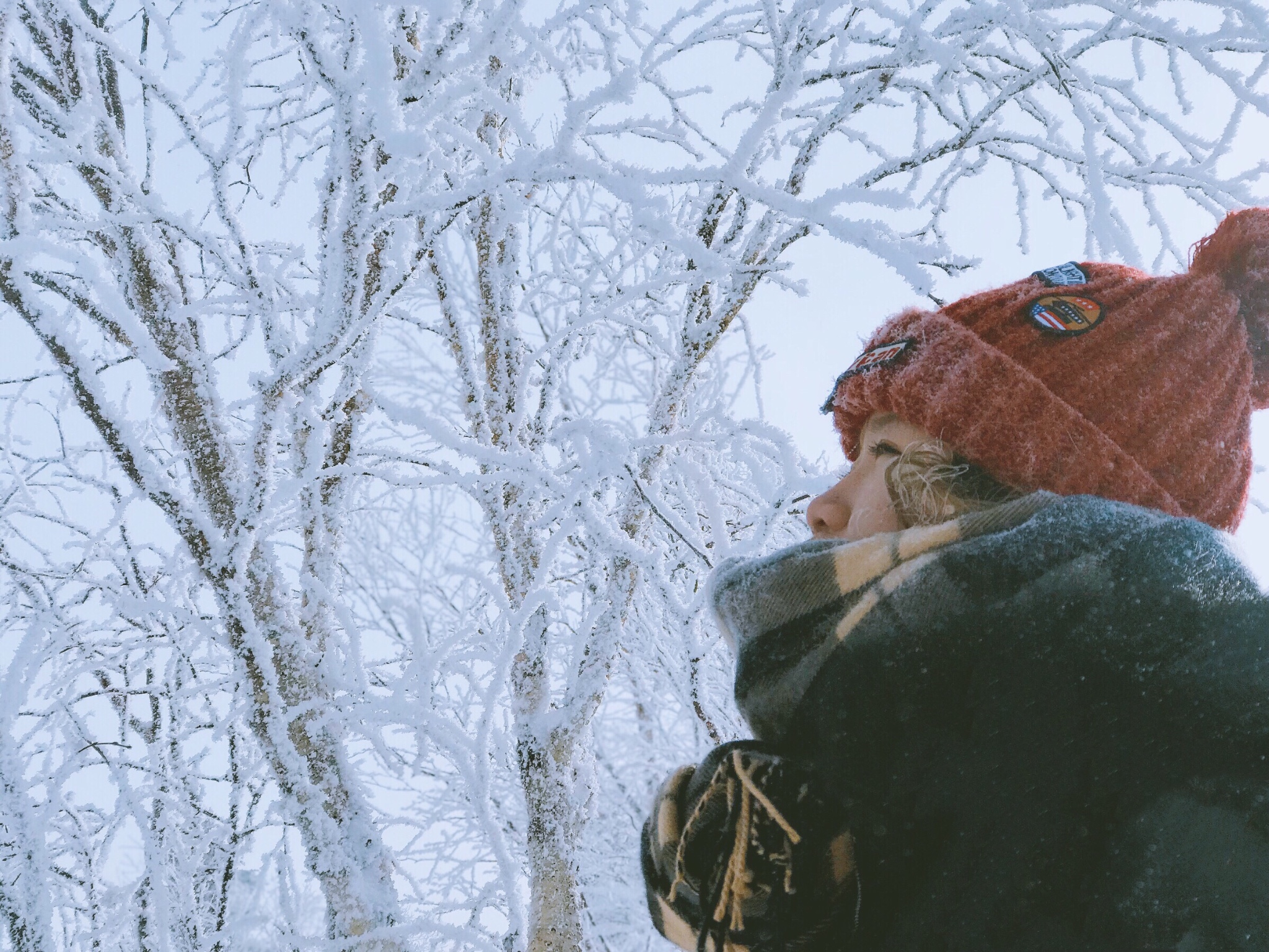 雪鄉自助遊攻略