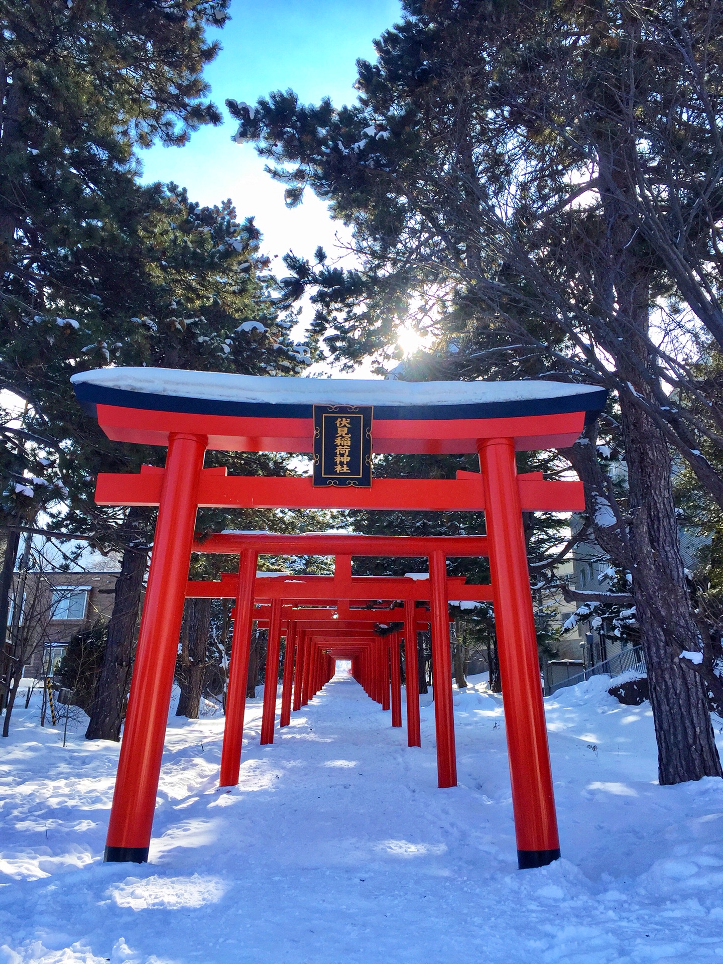 札幌自助遊攻略