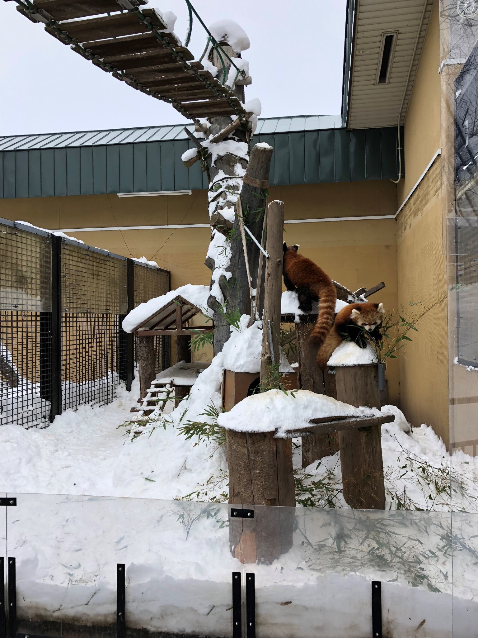 札幌自助遊攻略