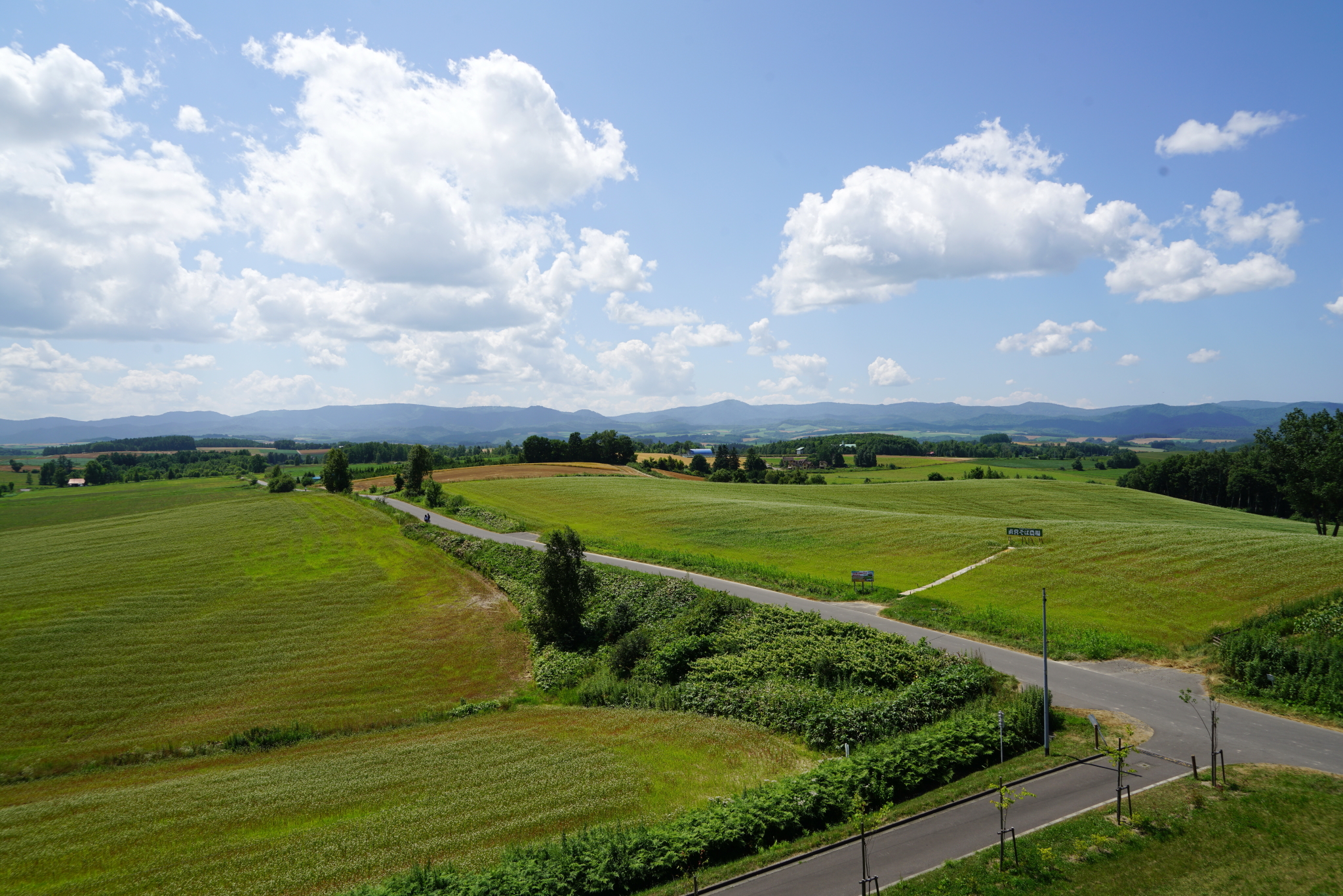 北海道自助遊攻略