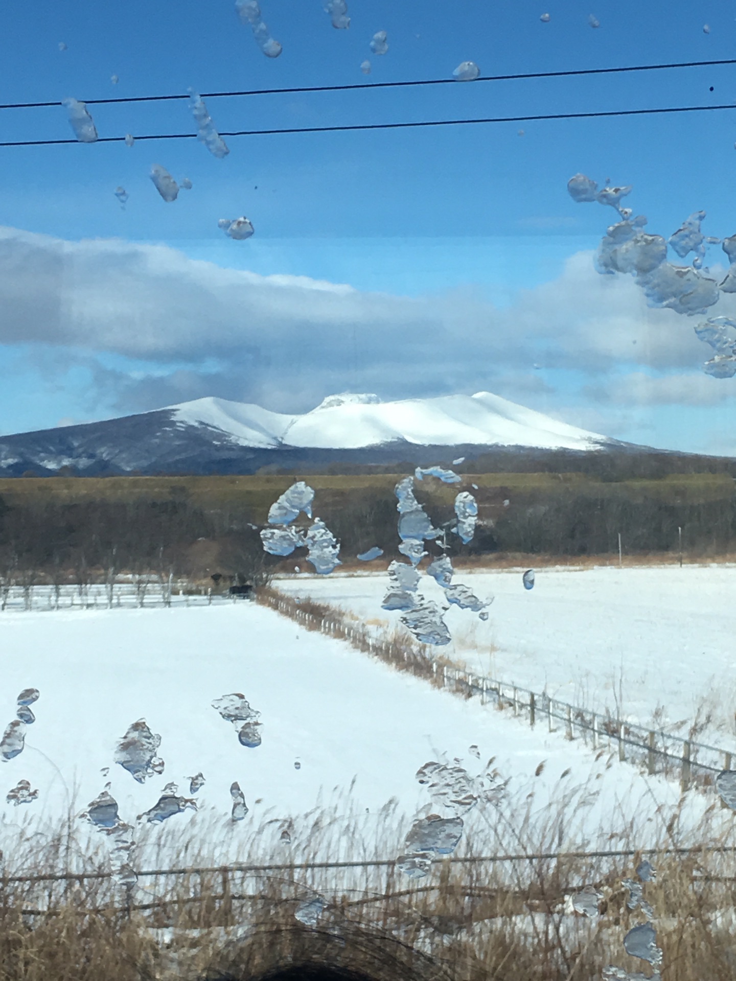 北海道自助遊攻略