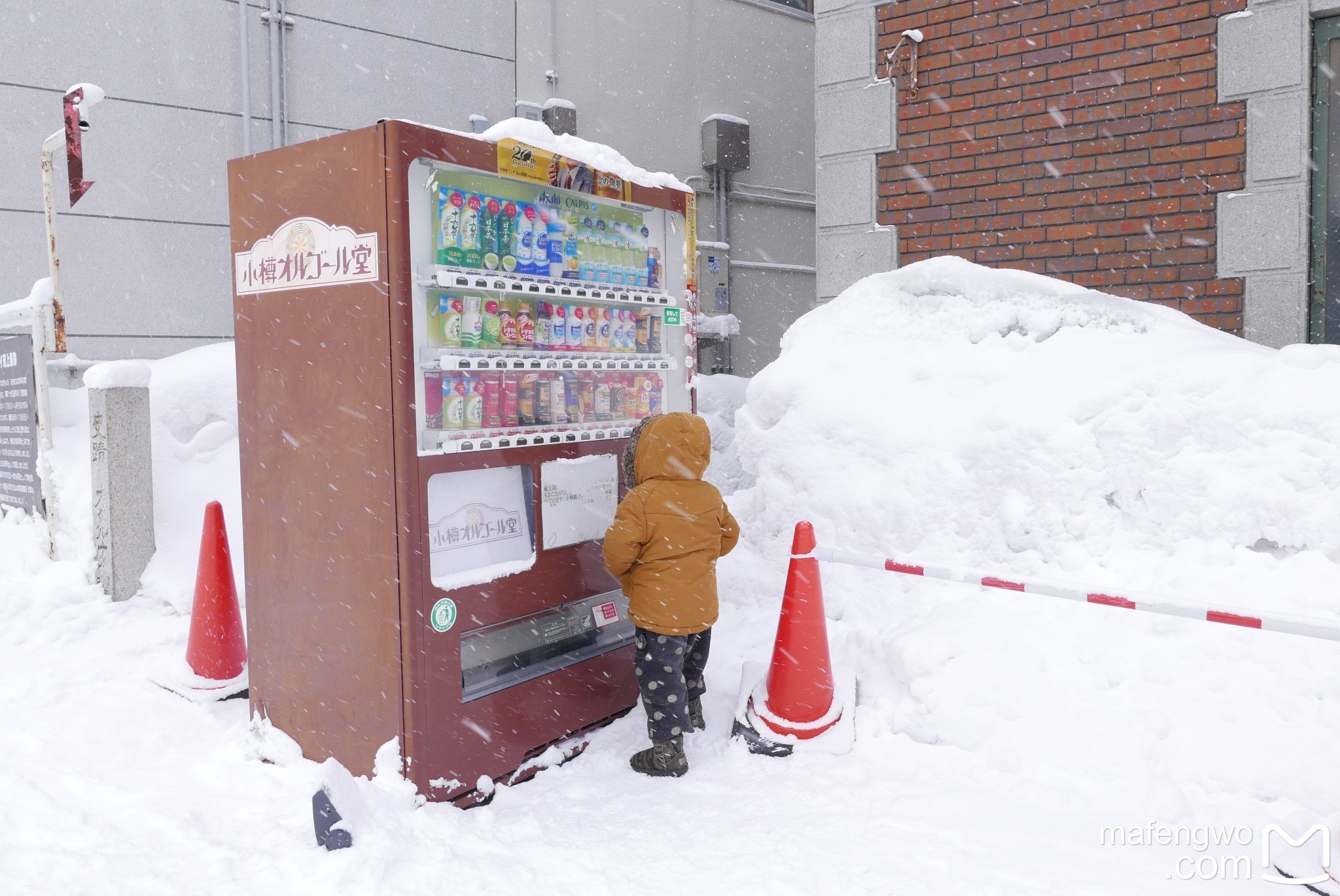 北海道自助遊攻略