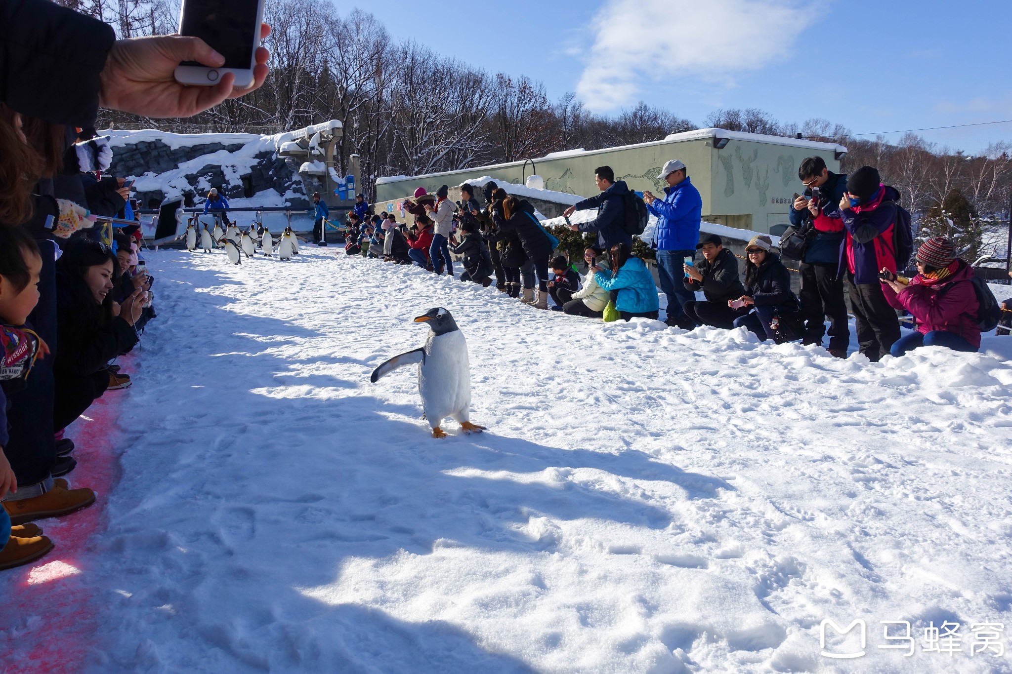 北海道自助遊攻略