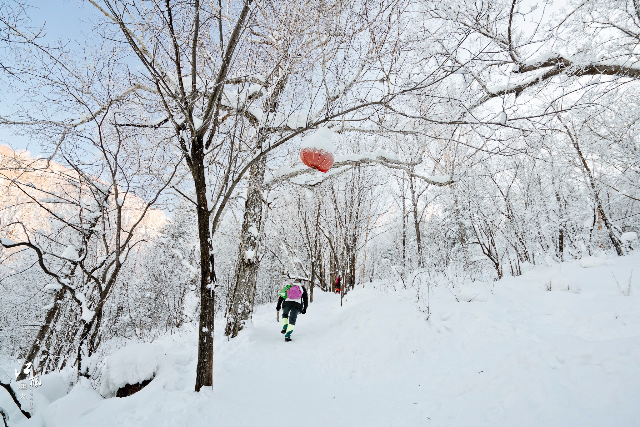 雪鄉自助遊攻略