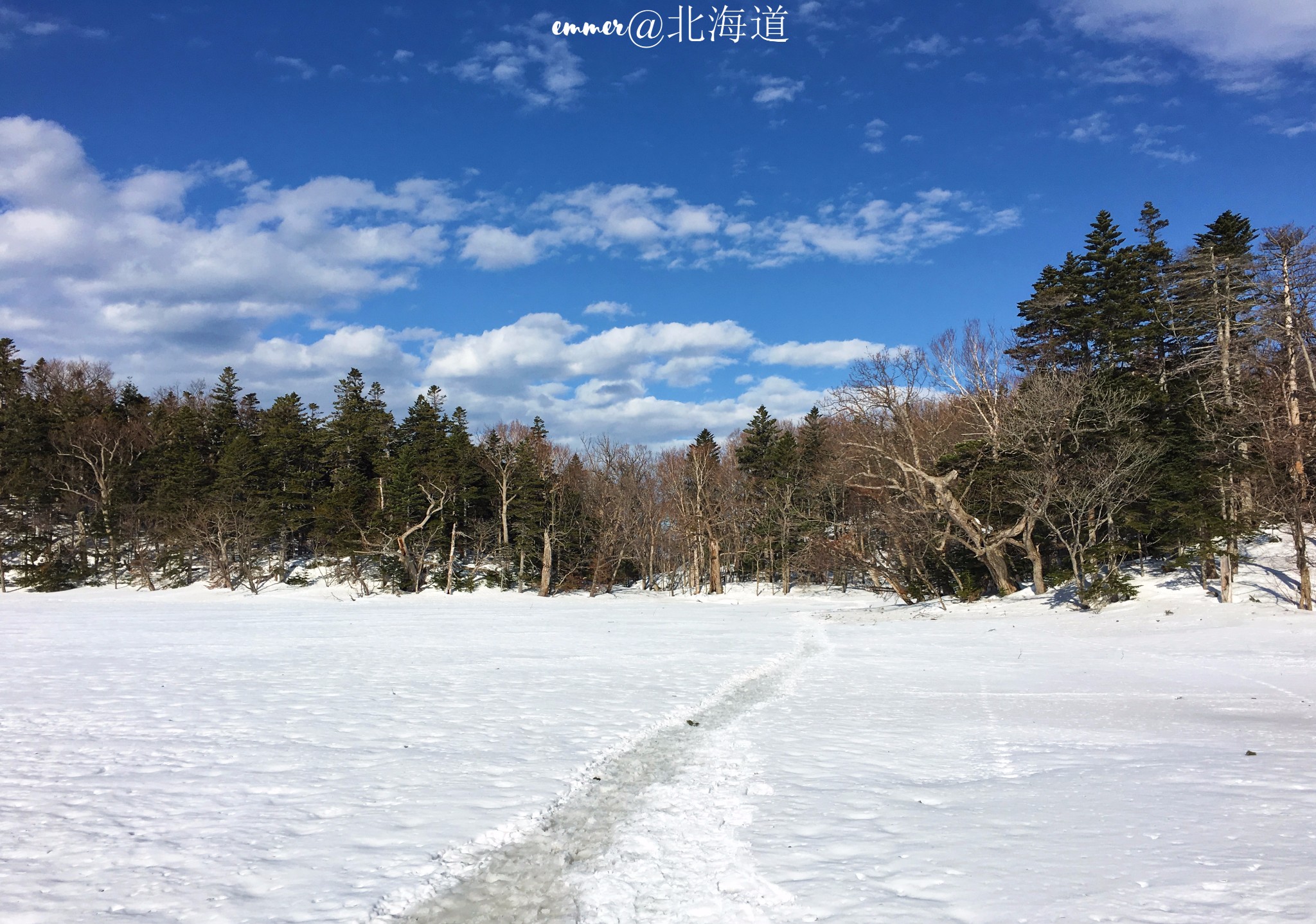 北海道自助遊攻略