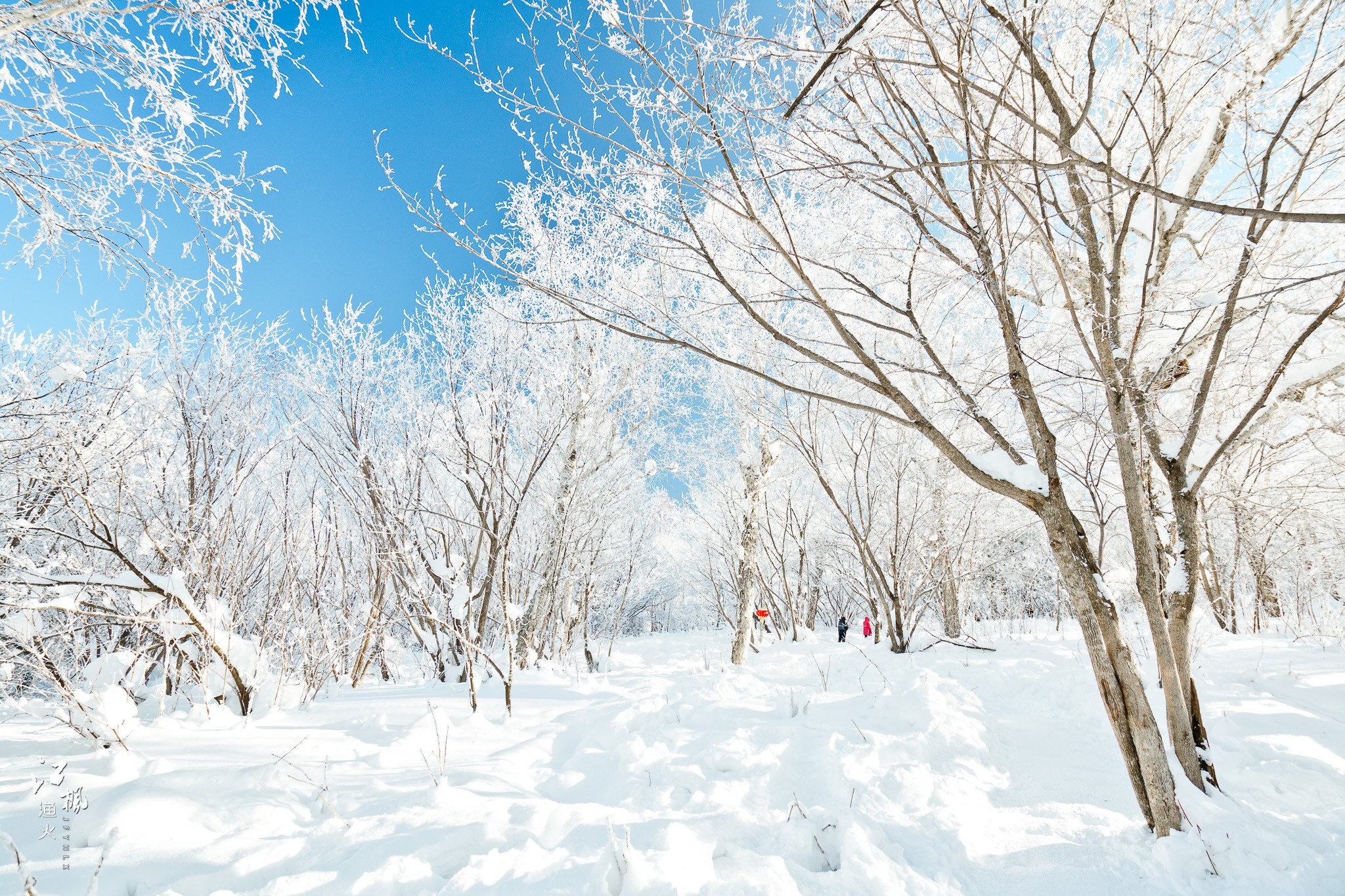 雪鄉自助遊攻略