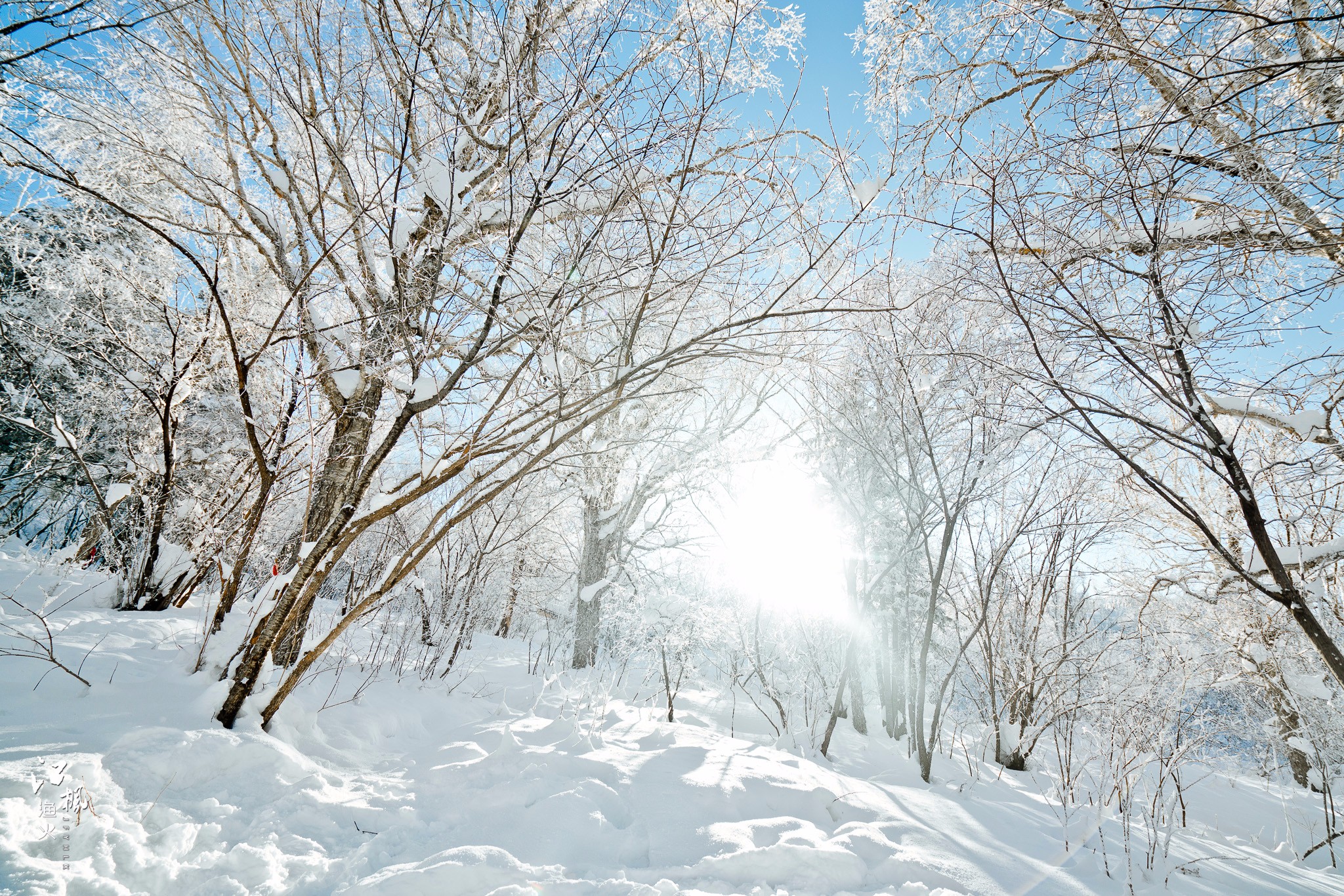 雪鄉自助遊攻略