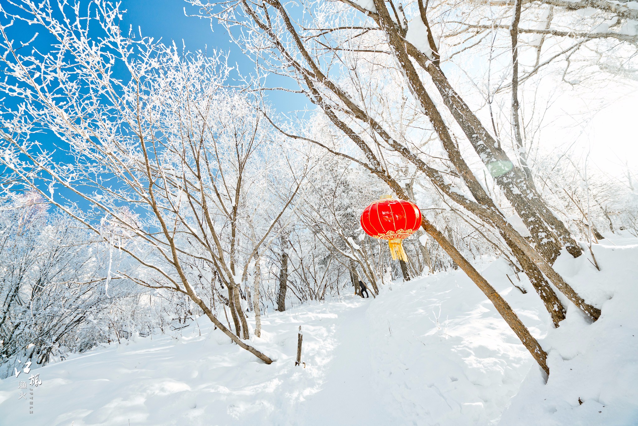 雪鄉自助遊攻略