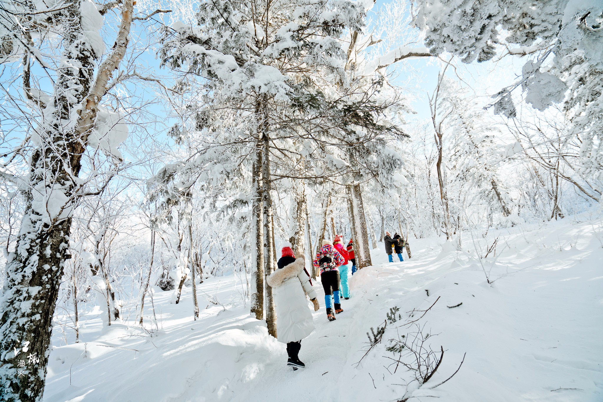 雪鄉自助遊攻略