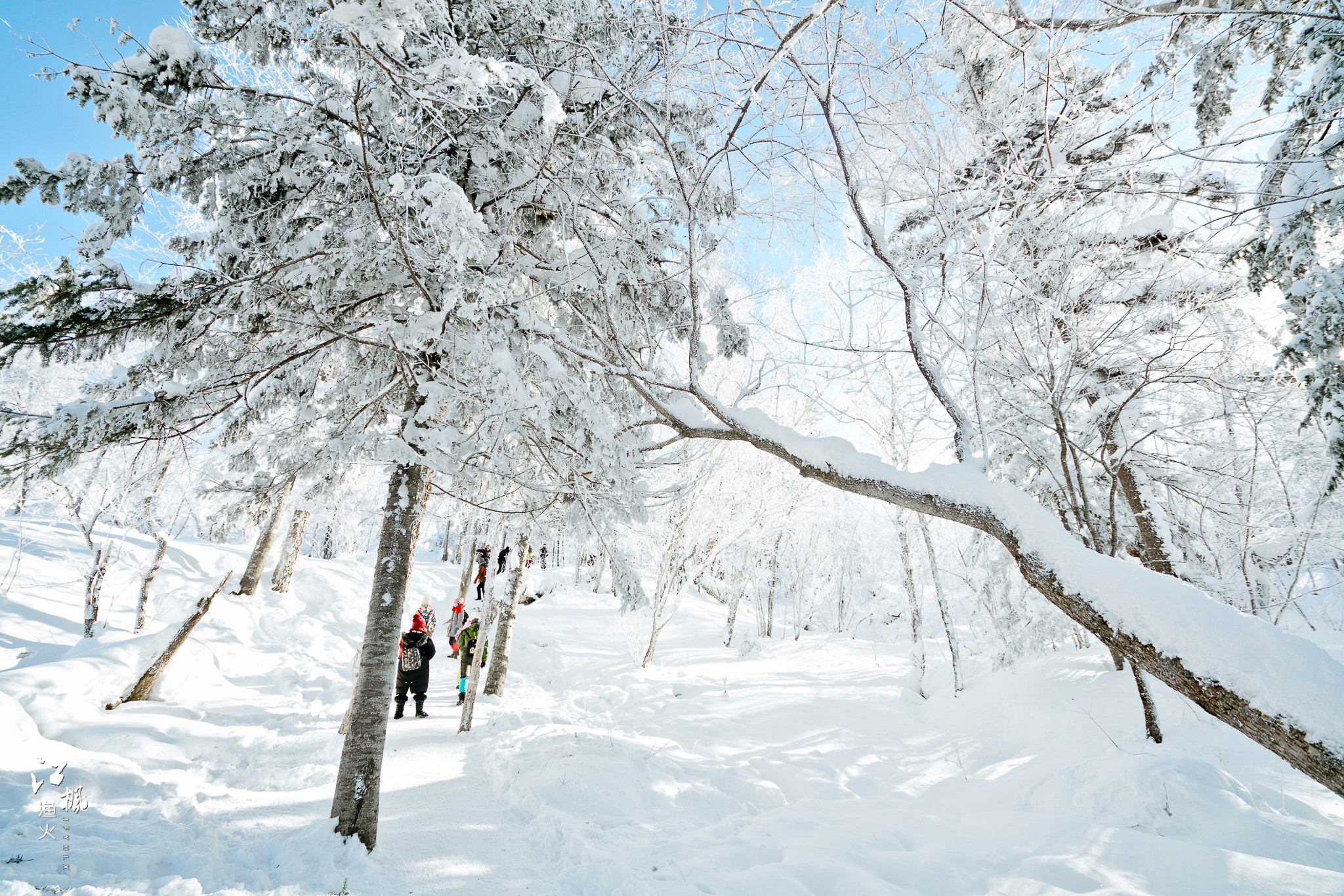 雪鄉自助遊攻略